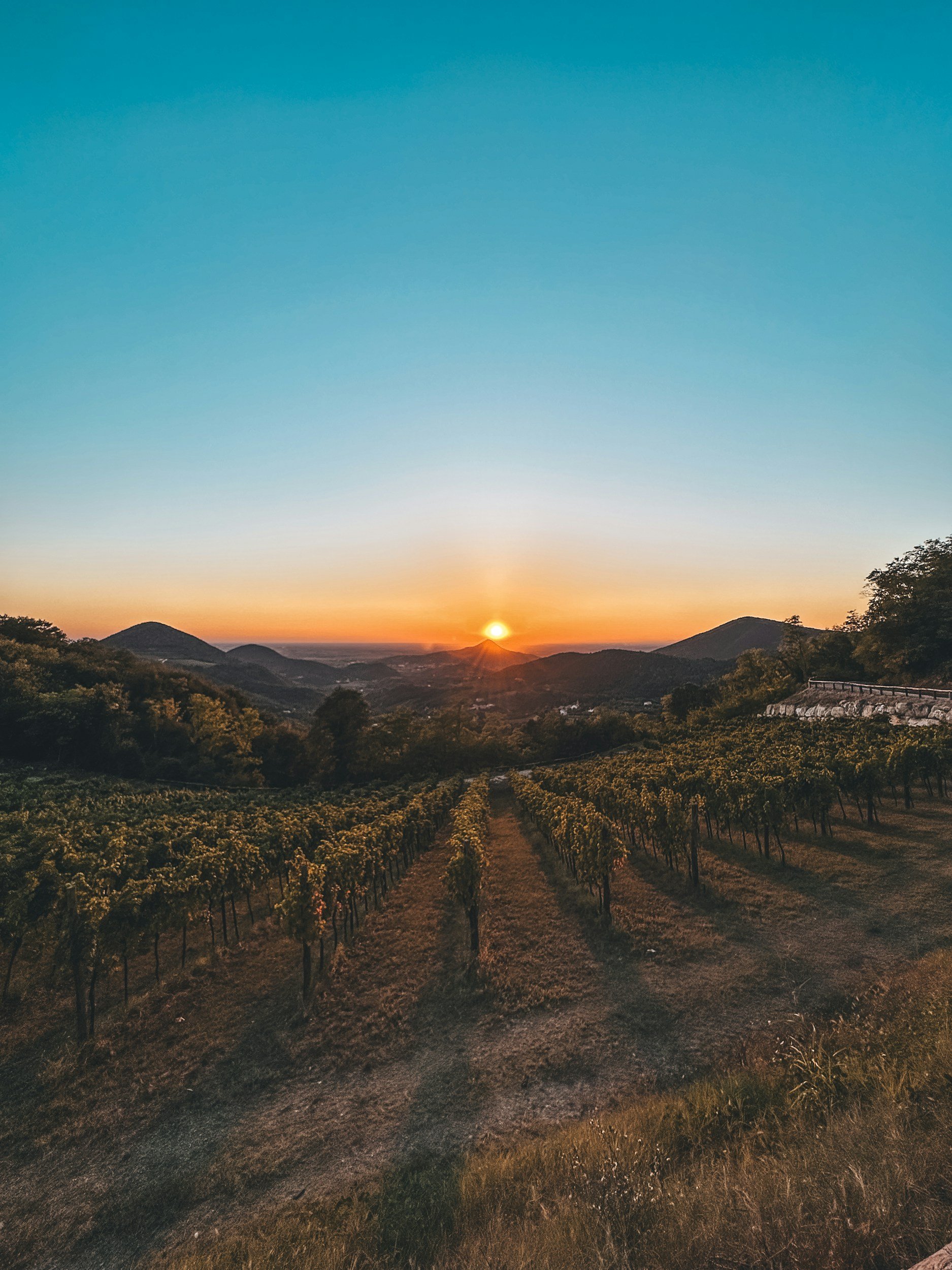 Photo: Gabriele Rampazzo on Unsplash