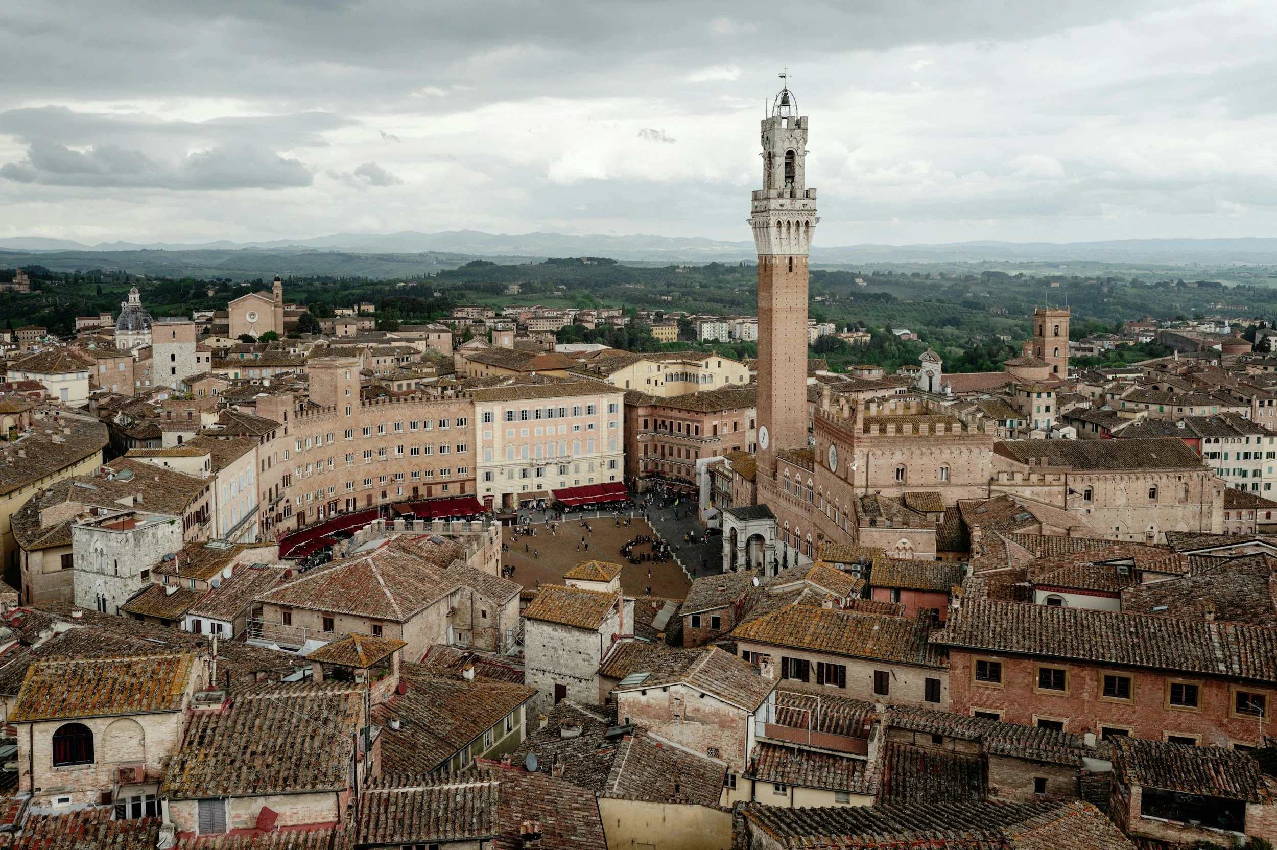 Photo by [Letian Zhang] —  [• Unsplash]