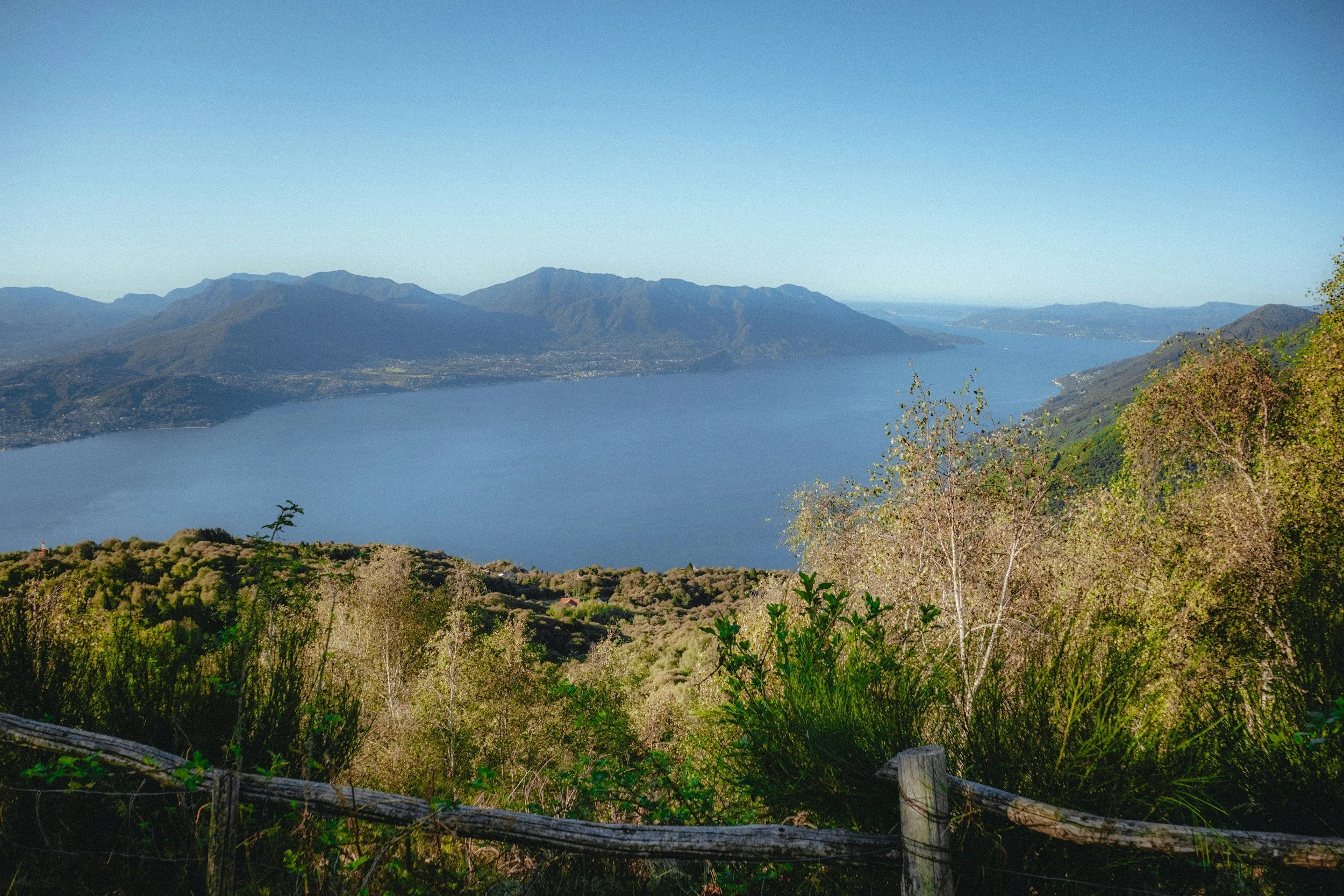 Photo by [Jack White] — [• CC BY-SA 4.0]