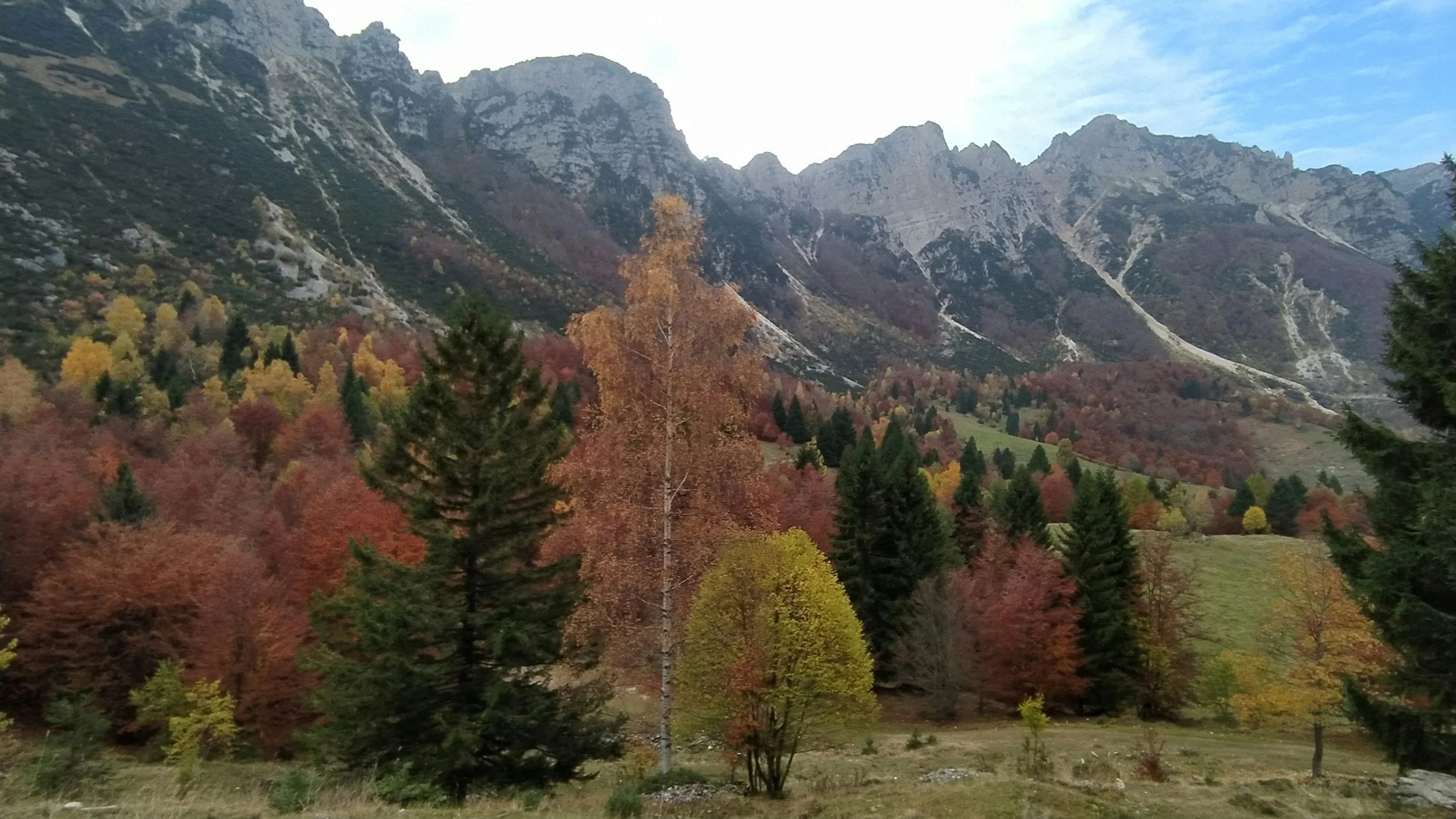 Veneto — [Photo by: Andrea Bertoni] — [• CC BY-SA 4.0]