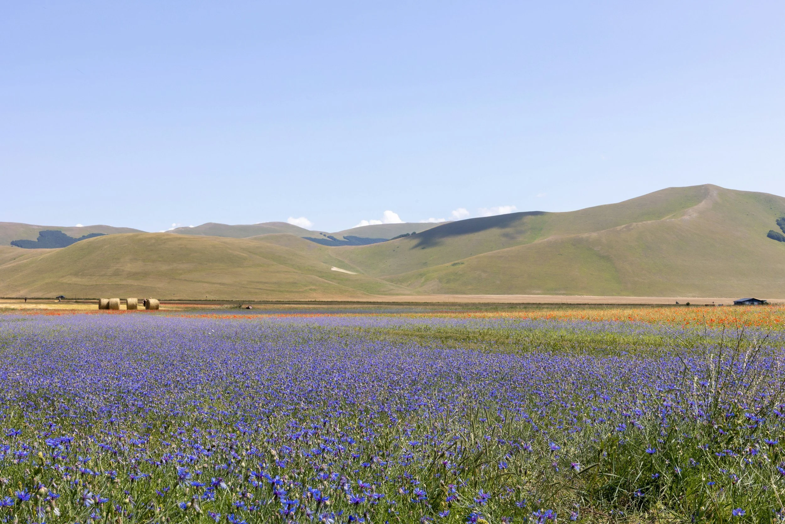Norcia [Photo by: Riccardo Lamon] — [• Unsplash]