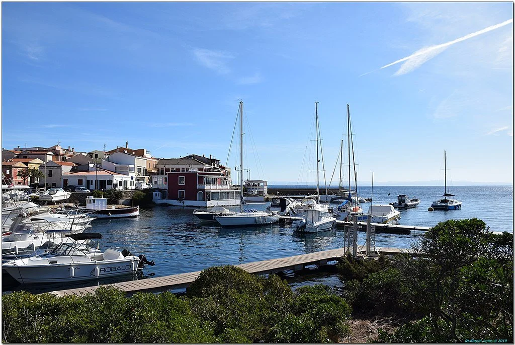 Photo by [János Korom Dr. from Wien, Austria] — [• CC BY-SA 2.0]