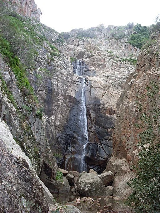 Photo by [Giancarlo Dessì] — [• CC BY-SA 3.0]