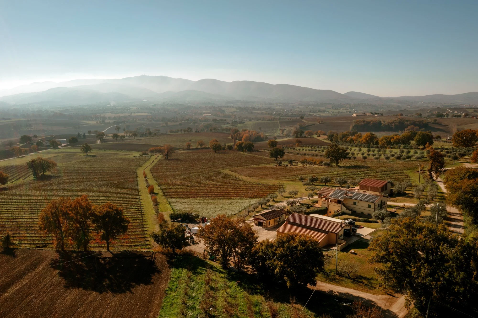 Photo by: Perticaia Winery Estate