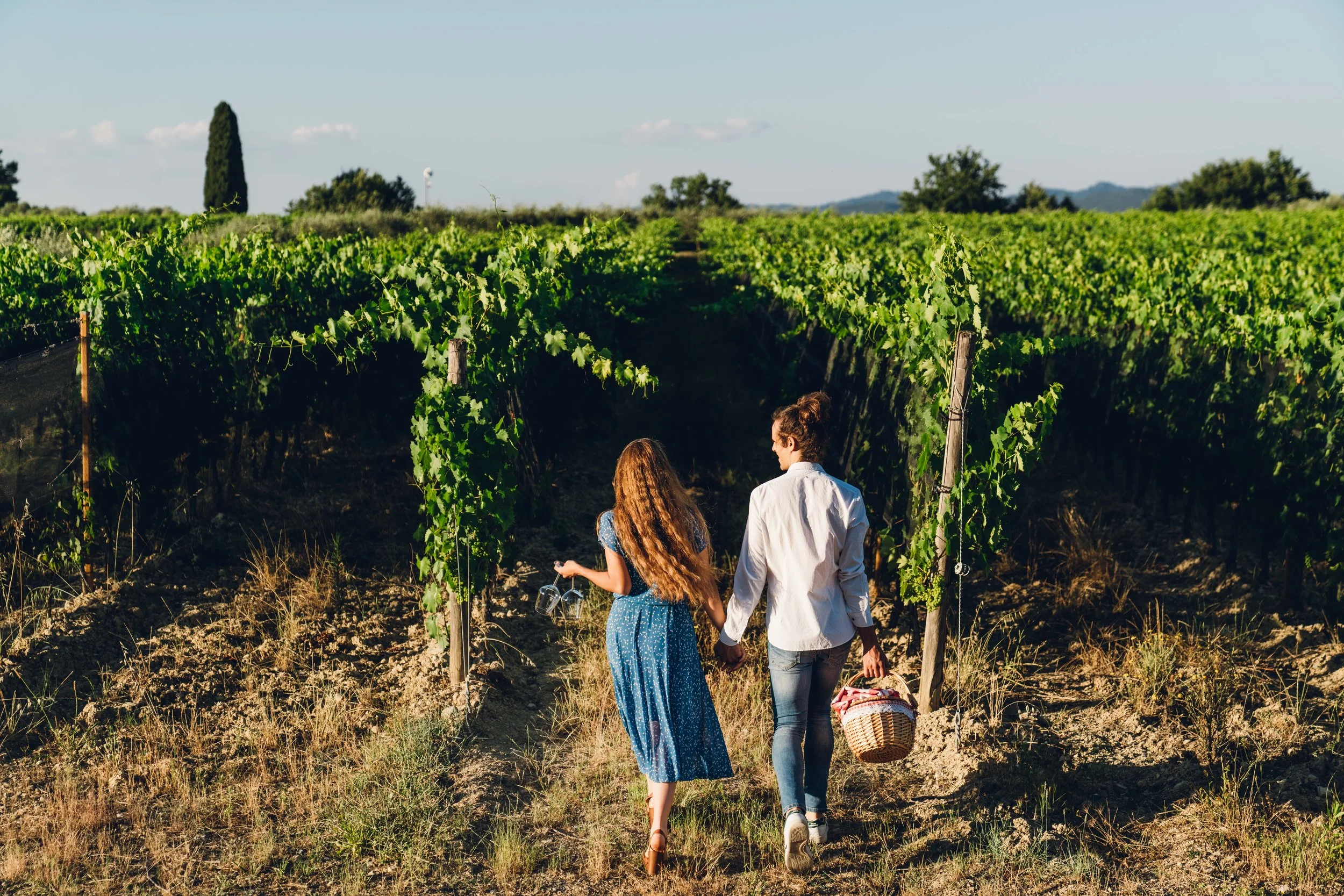 Vallepicciola Estate