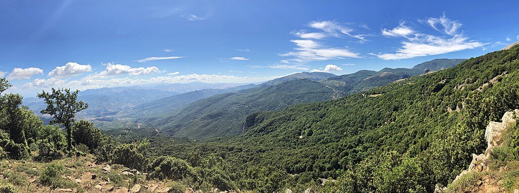 Photo by [Davide Mauro] — [• CC BY-SA 4.0]