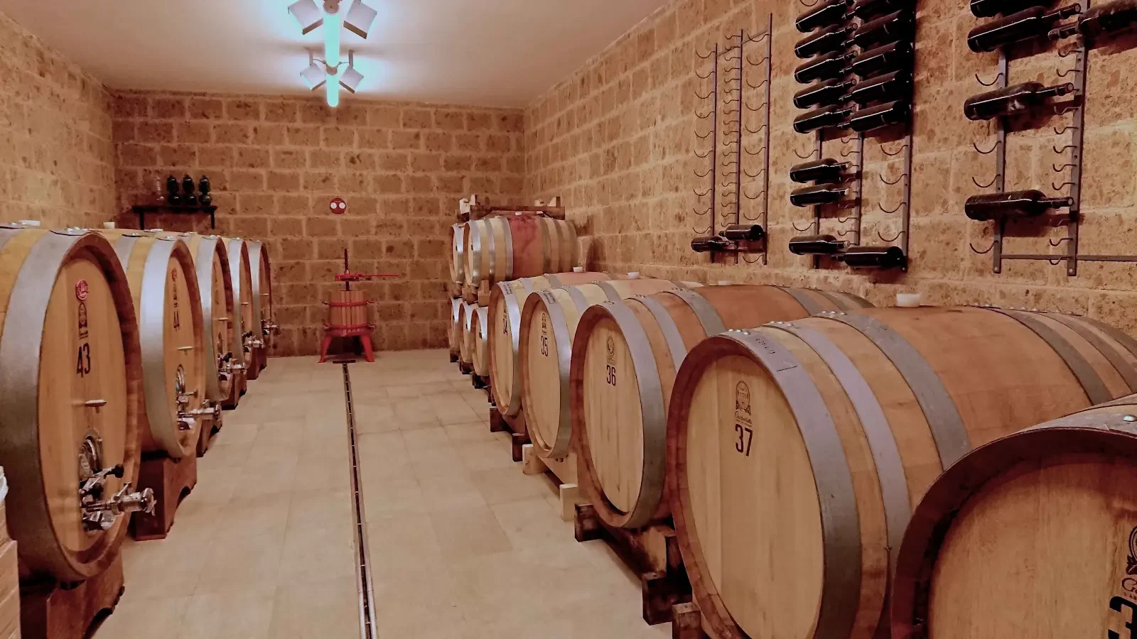 La Madeleine Barrel Callar