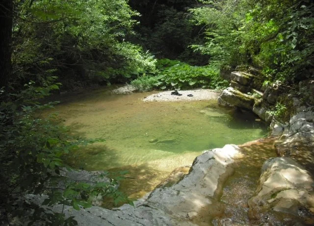 Photo by ImagoAnimae, CC BY-SA 3.0