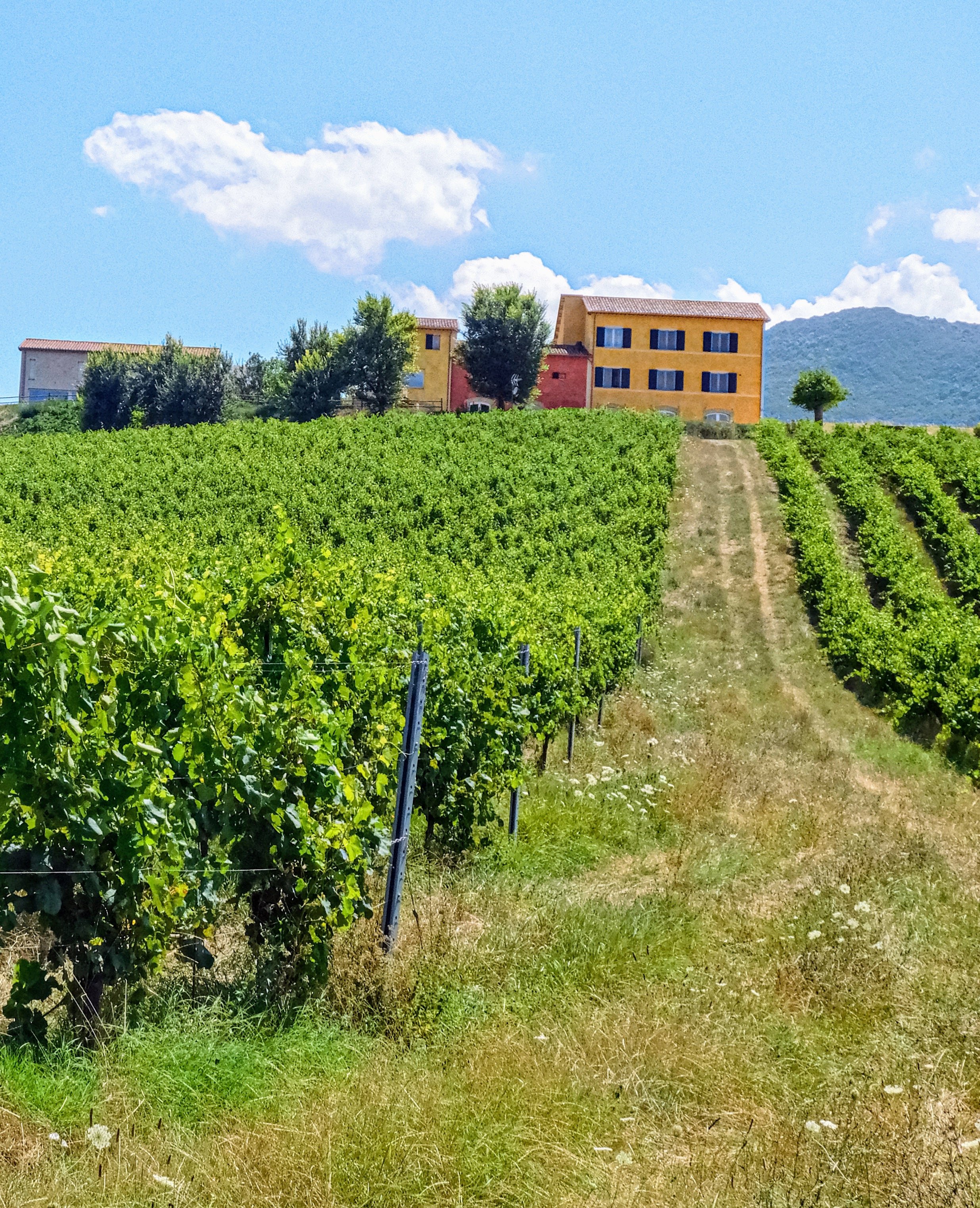 Photo by Grimaldi Estate