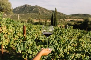 Cantina Murales -Olbia