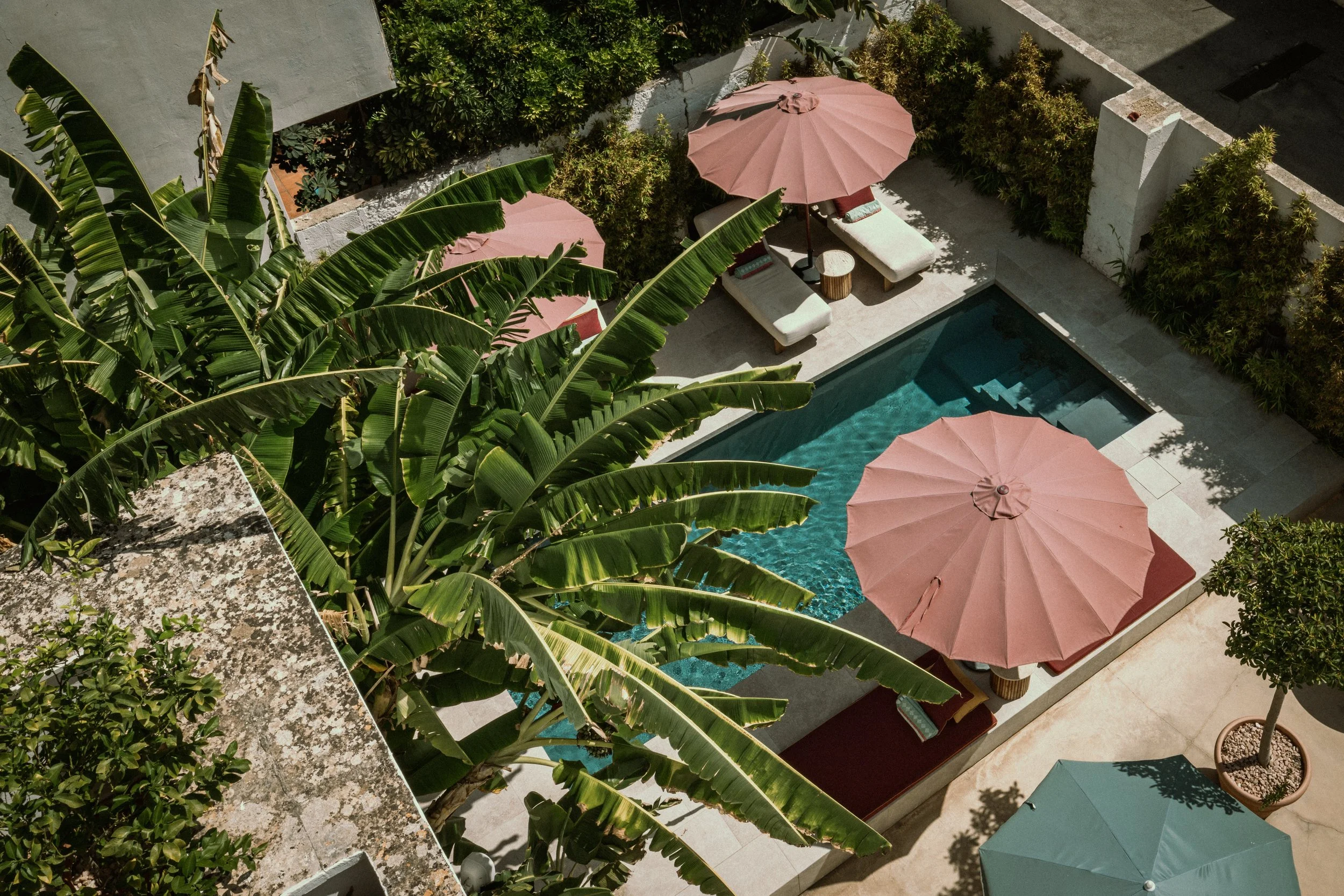 Photo Credit: Palazzo Piccinno