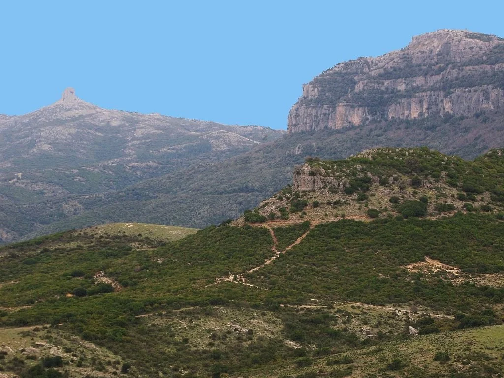 Photo by [Max.oppo] — [• CC BY-SA 3.0]