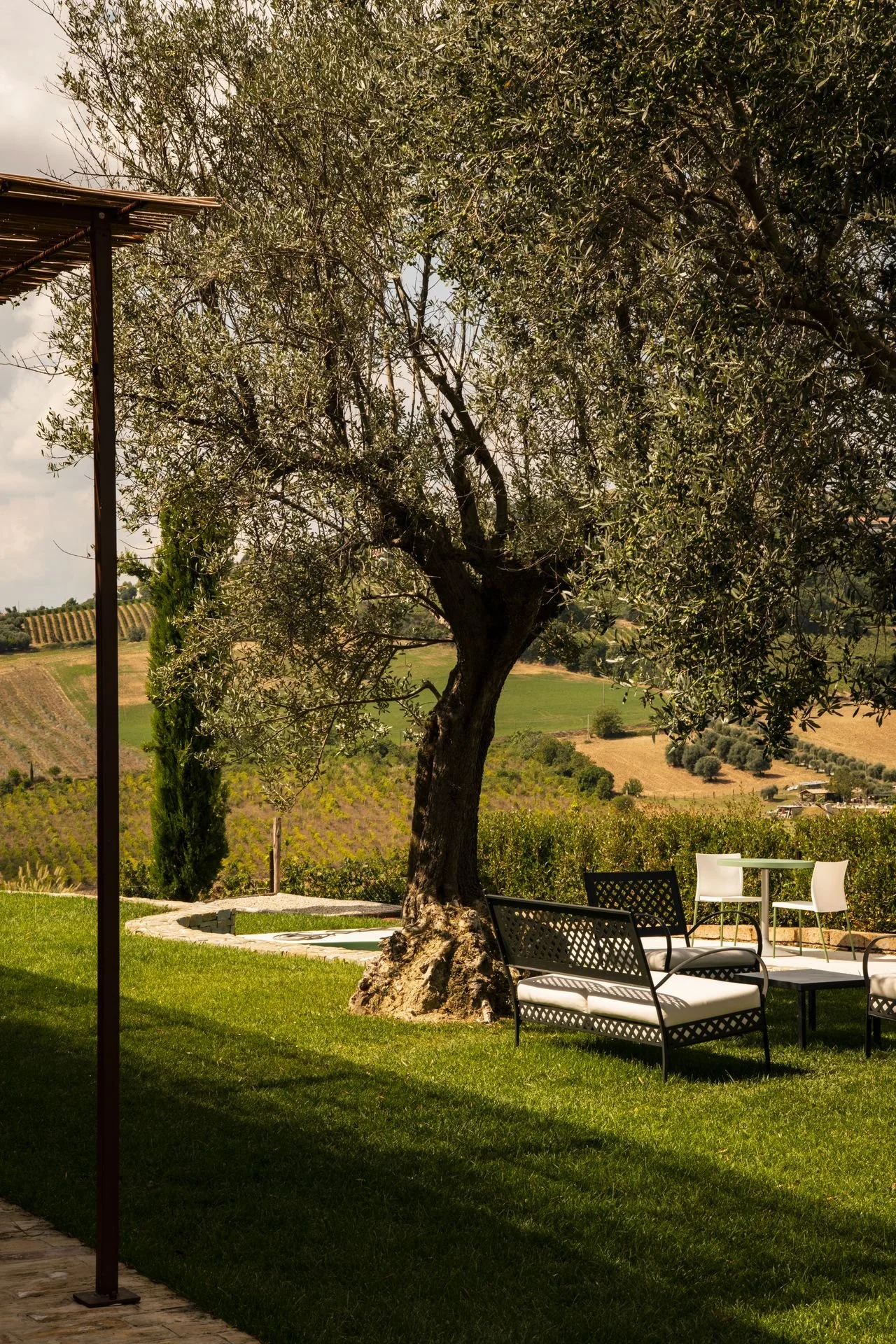 Photo Credit: Cocci Grifoni Estate