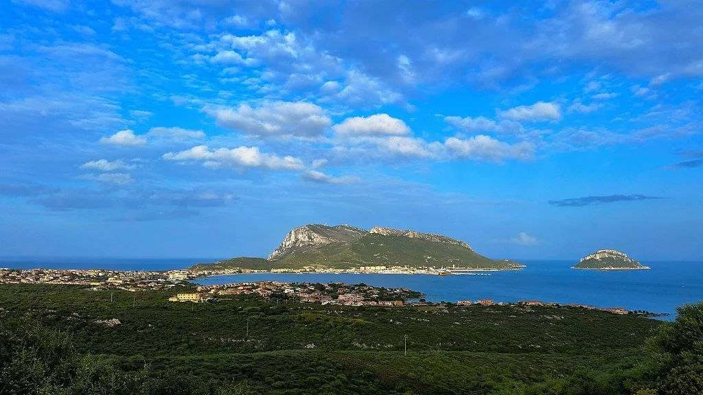 Photo by [Rolf Dietrich Brecher from Germany] — [• CC BY-SA 2.0]