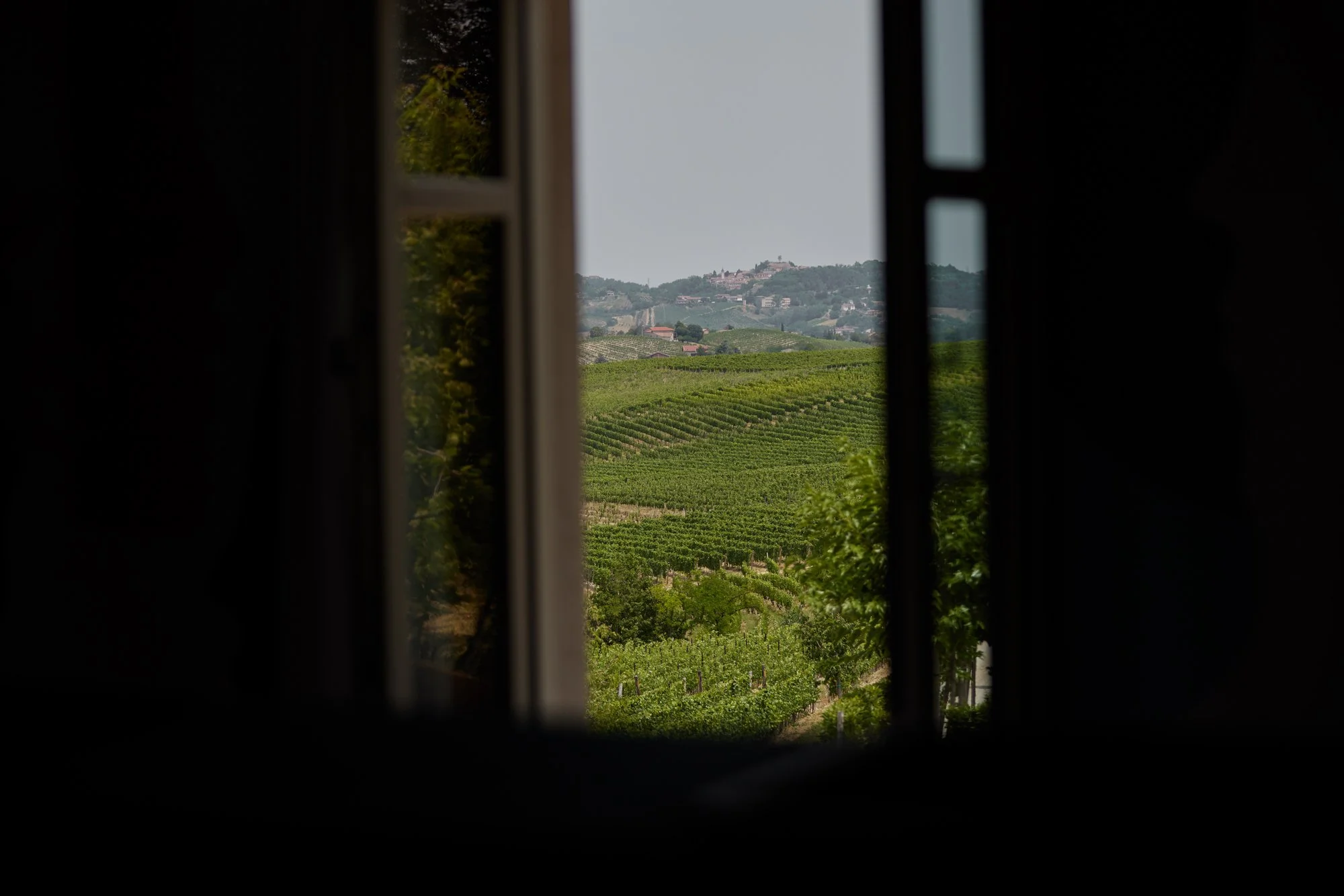 Mura Mura Vineyard