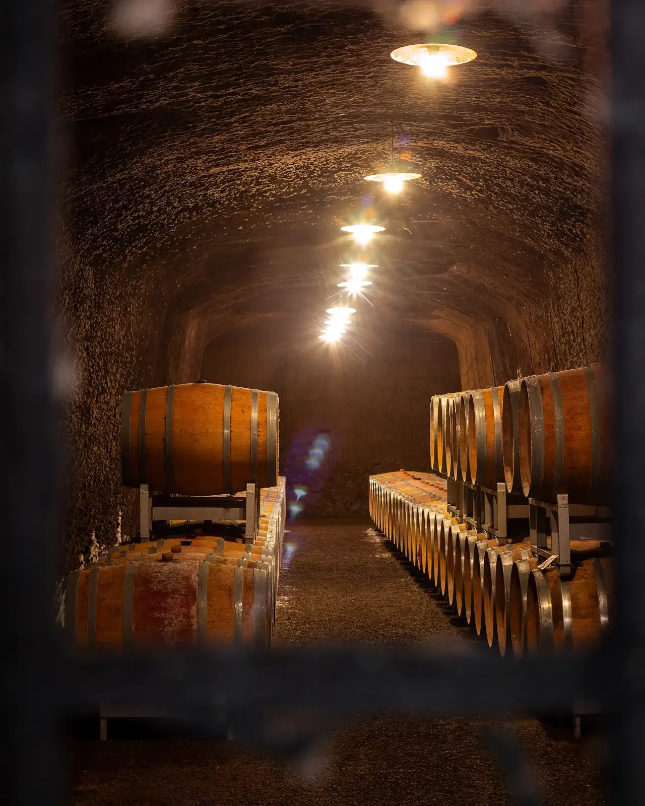 Decugnano dei Barbi Cellar