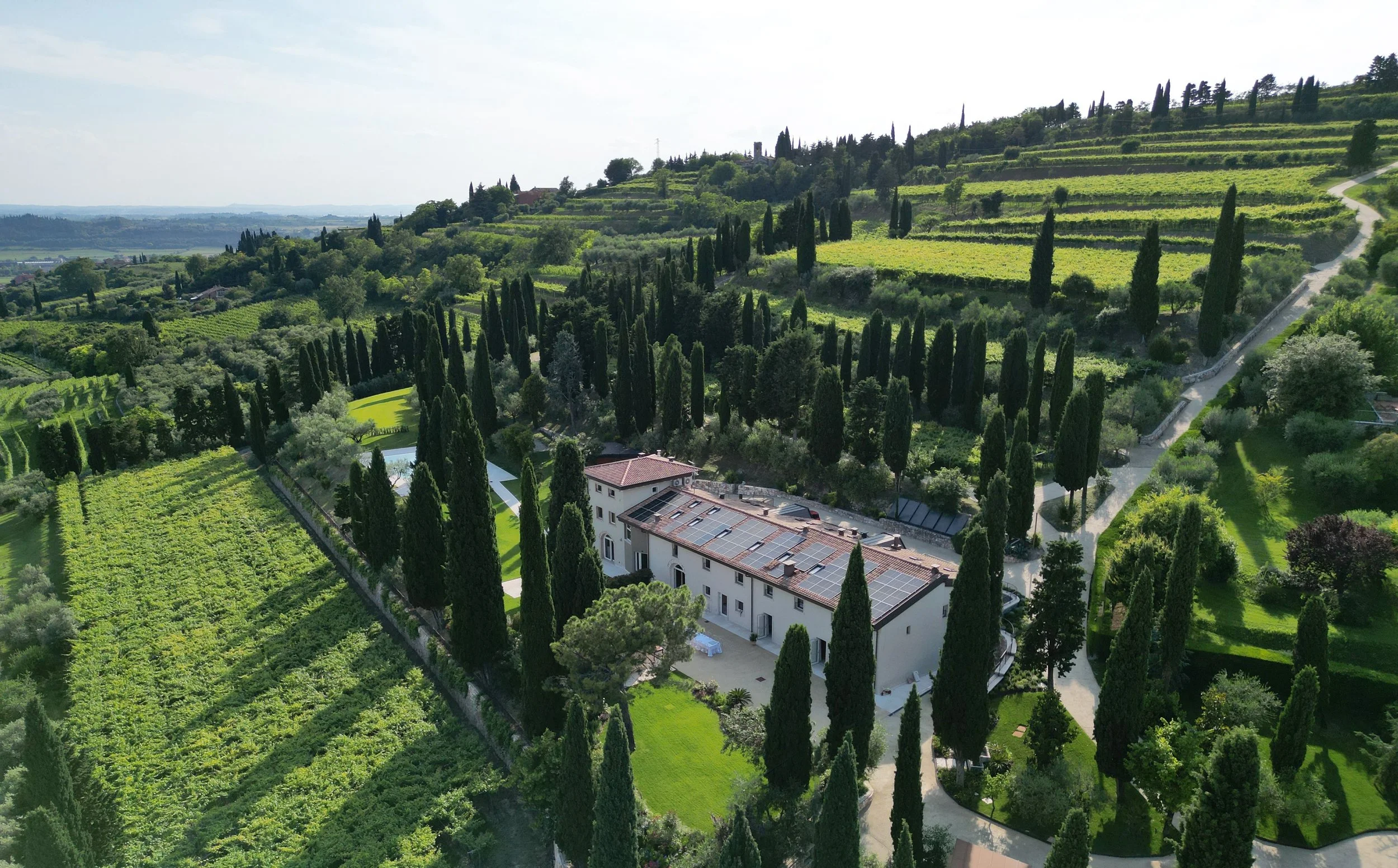 Vineyard Terre della Grola