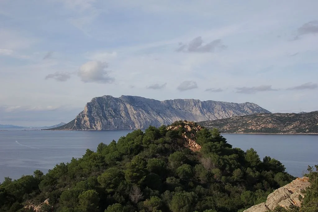 Photo by [Gianni Careddu] — [• CC BY-SA 4.0]