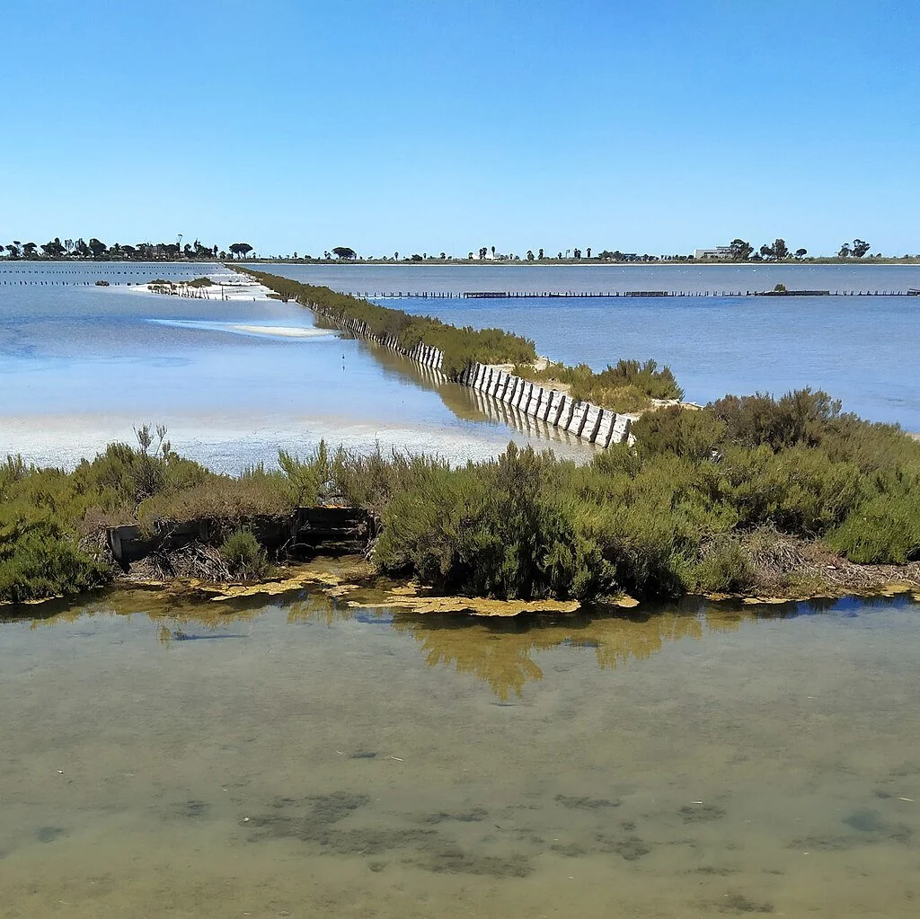 Photo by [SferaDue] — [• CC BY-SA 4.0]