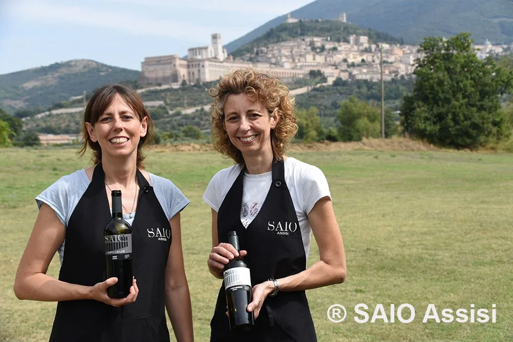 Photo by: Saio Winery Estate