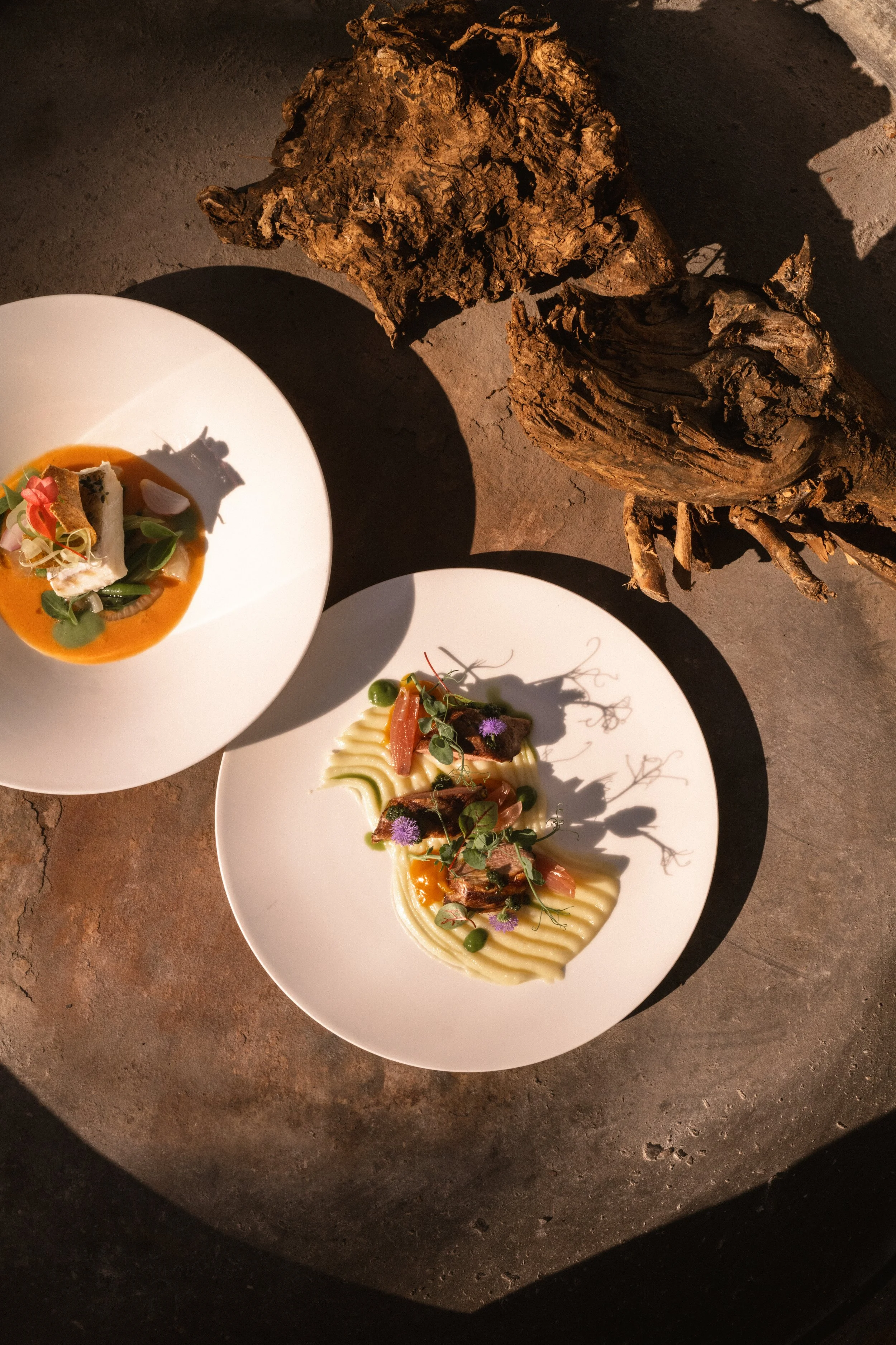 Masseria Auraterrae Photo Credit: Beatrice Pilotto