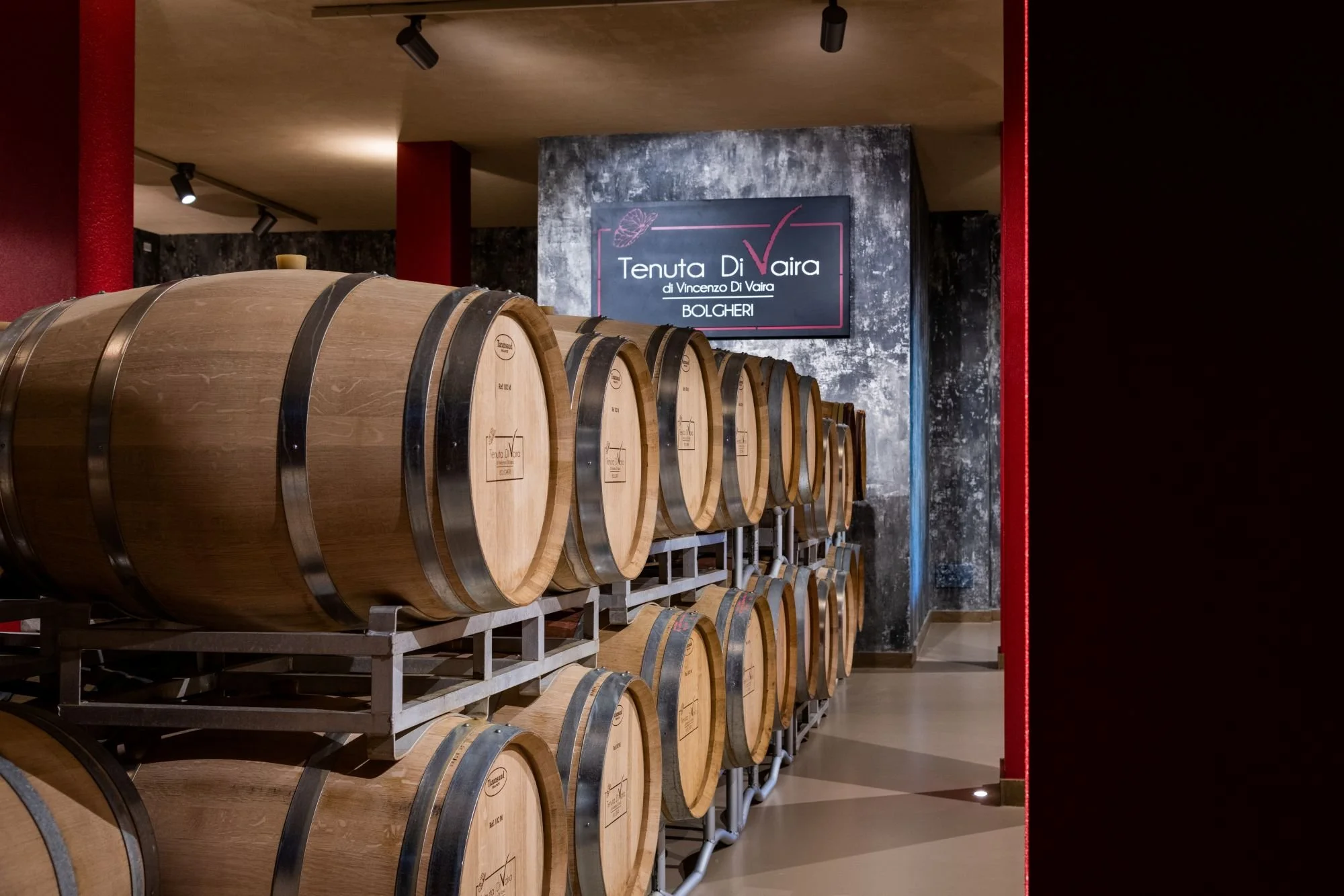 Vaira Bolgheri barrel cellar
