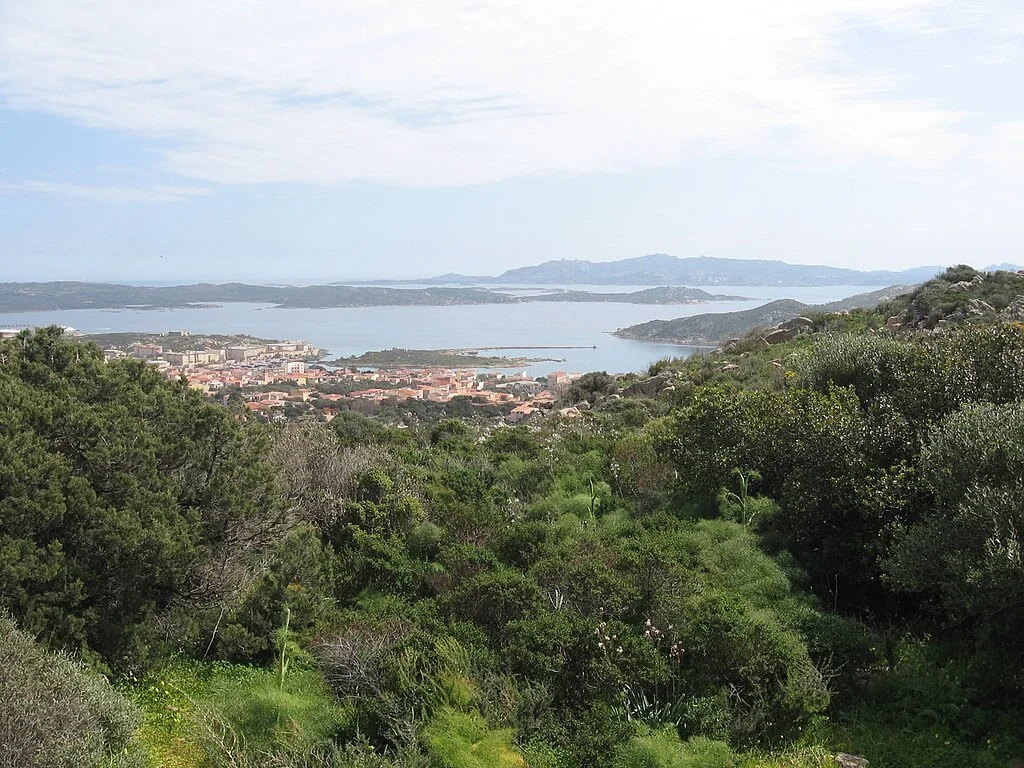 Photo by [Daniel Ventura] — [• CC BY-SA 4.0]