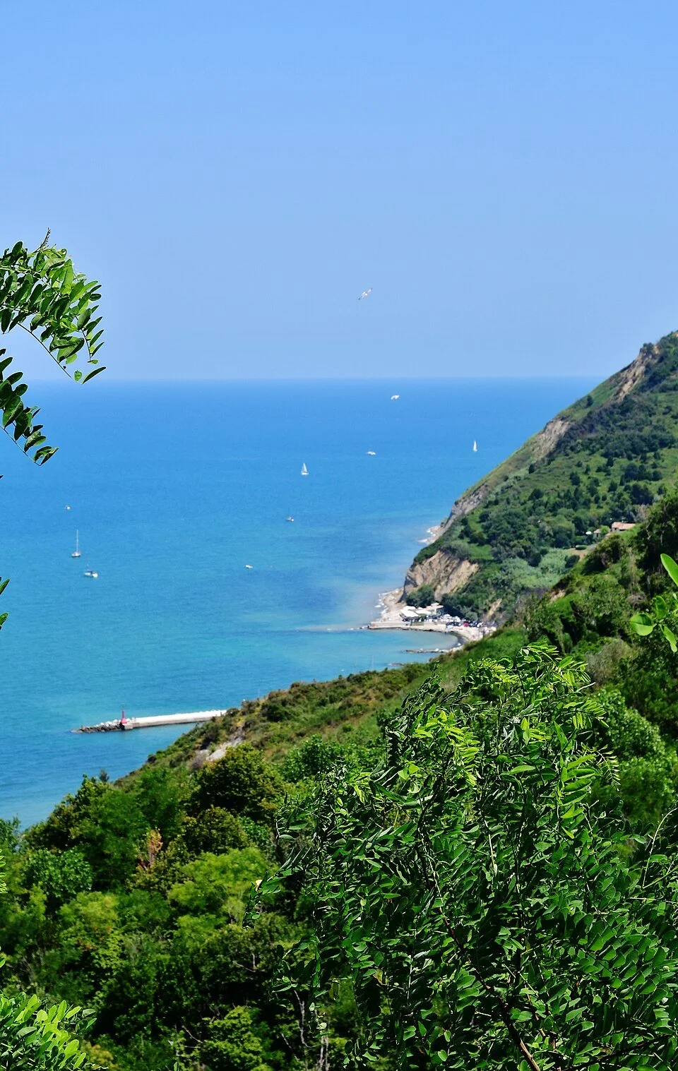 Photo by: Paulacastelli, CC BY-SA 4.0