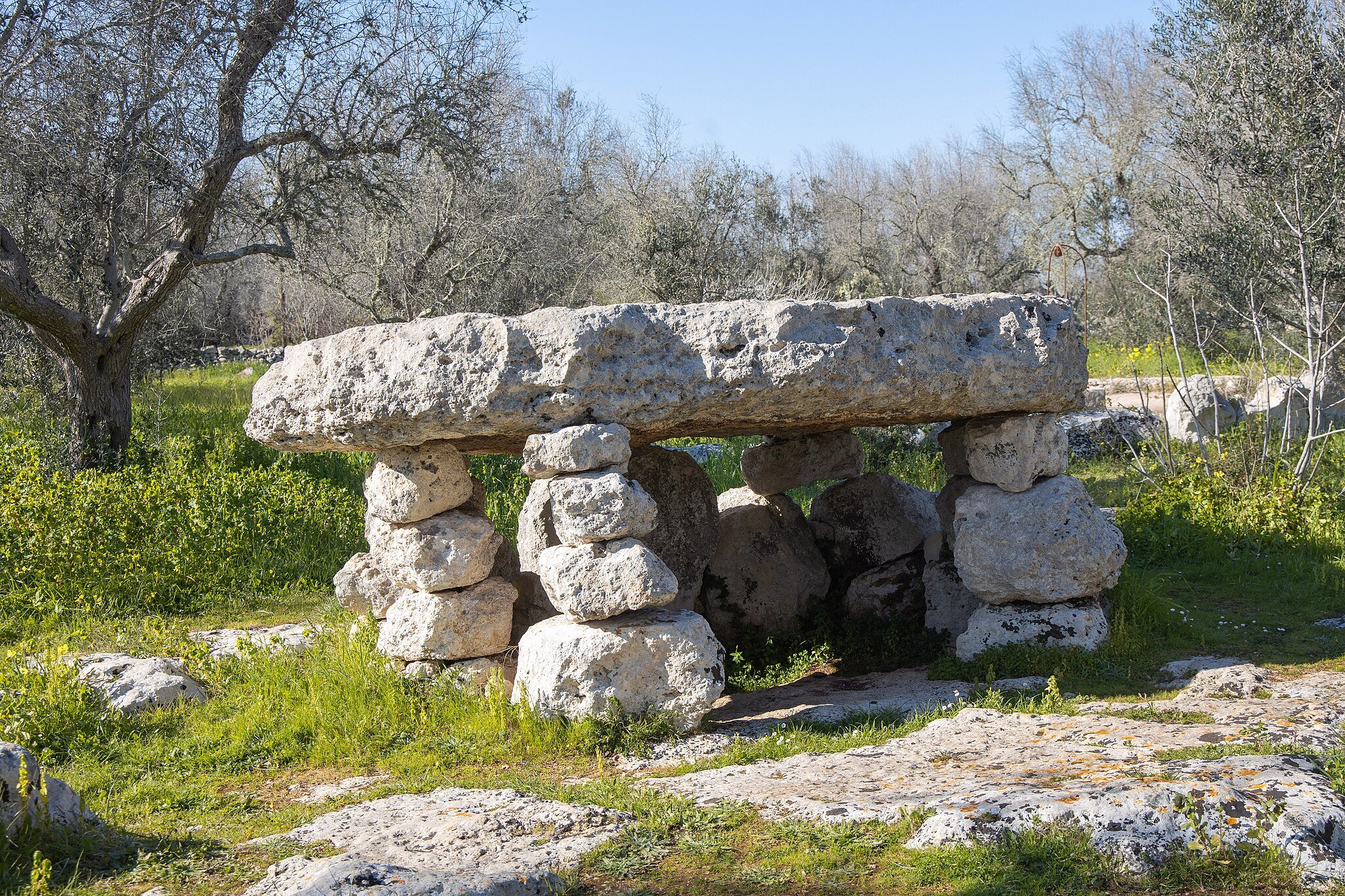 Photo: Fabrizio Garrisi • CC BY-SA 4.0