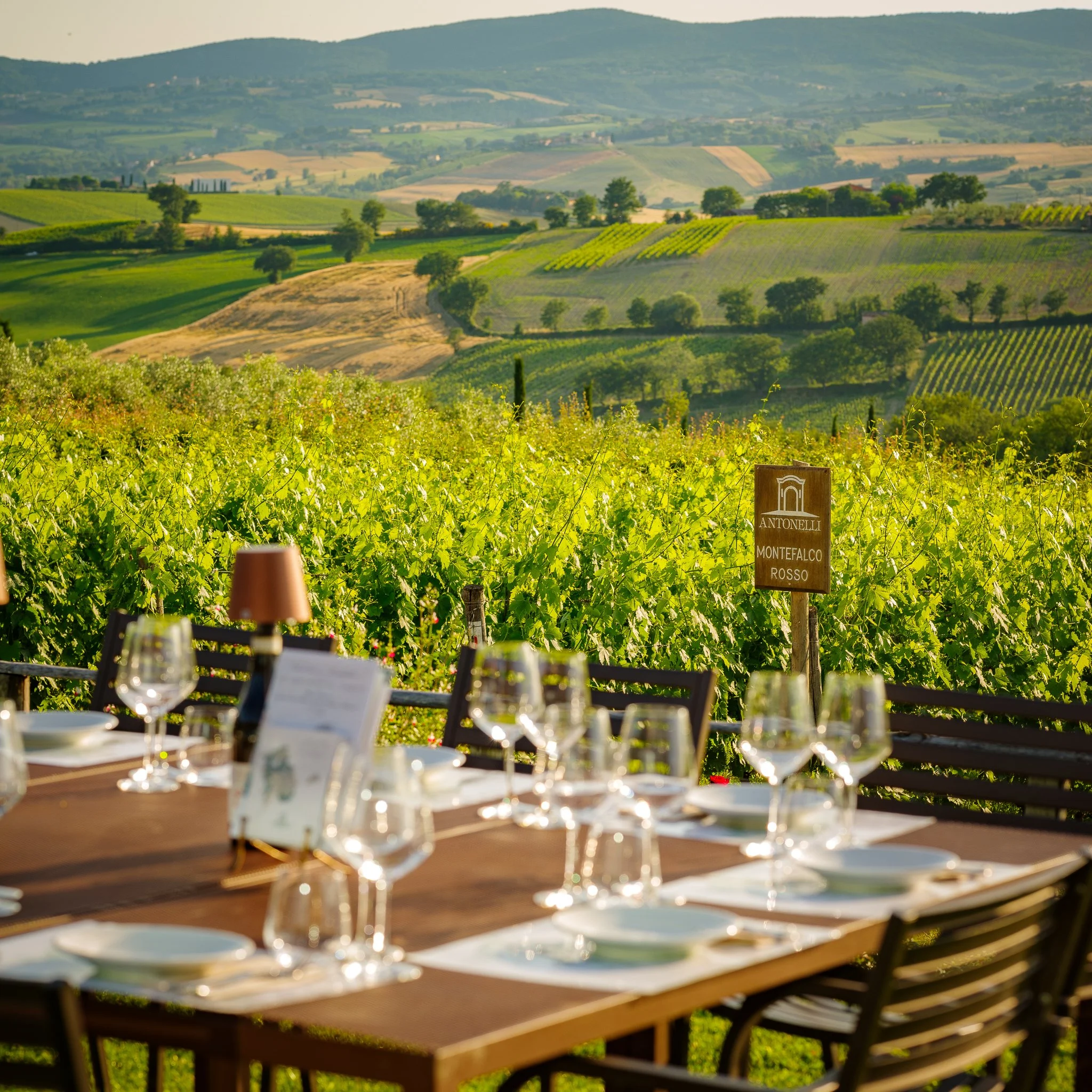 Antonelli San Marco wine tasting