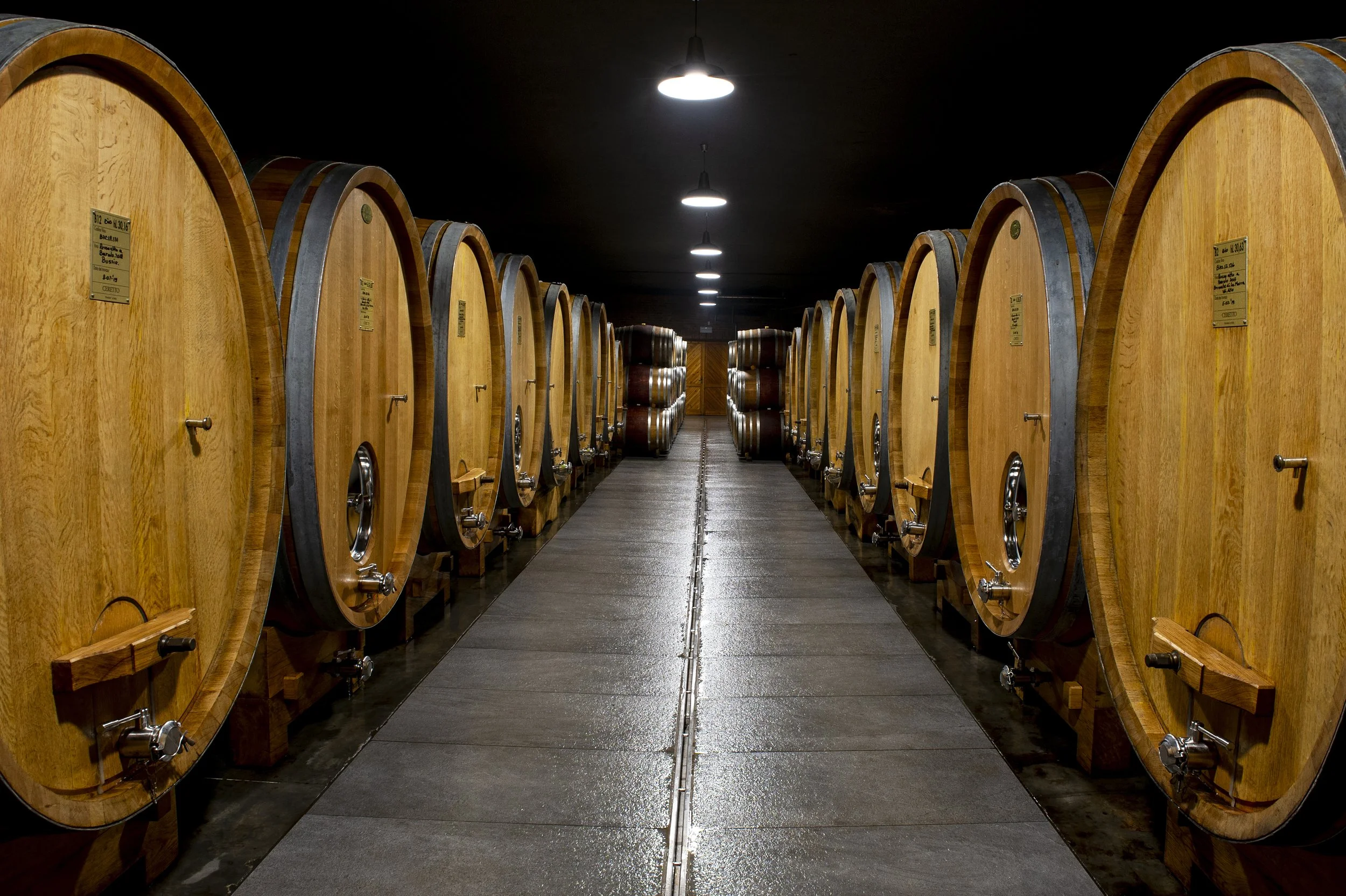 Bricco Rocche cellar