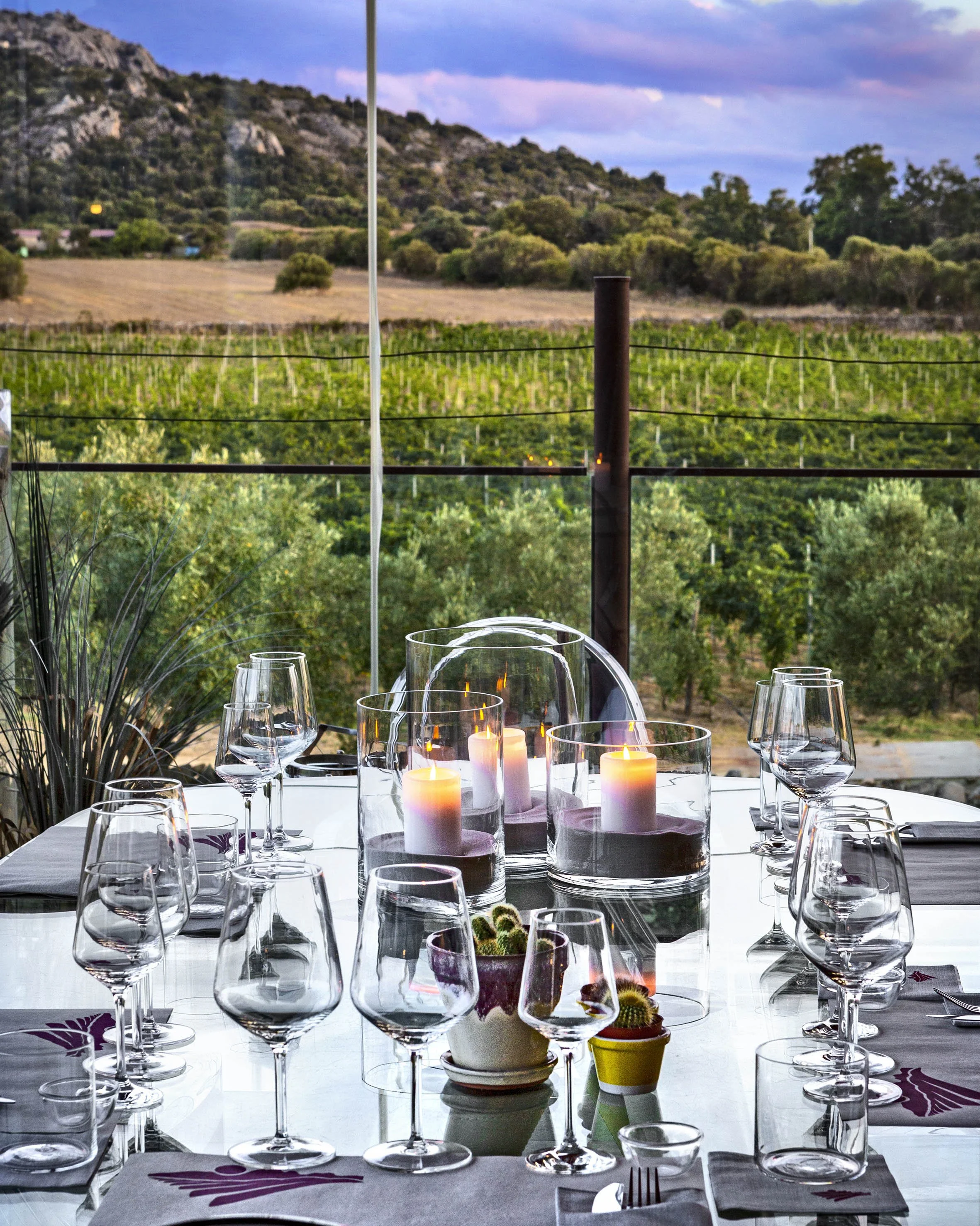 Wine tasting Cantina Surrau