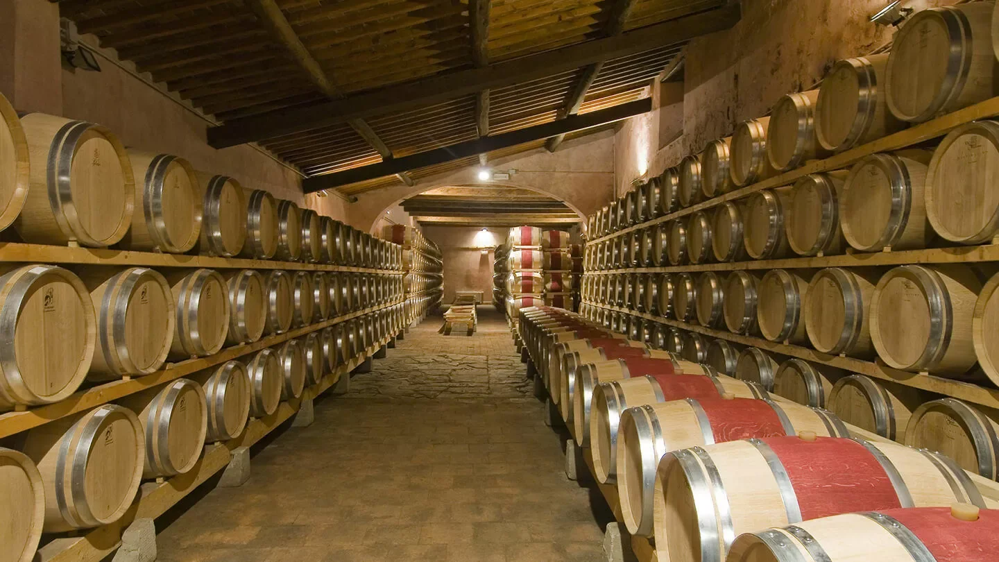 Nipozzano Castle winery