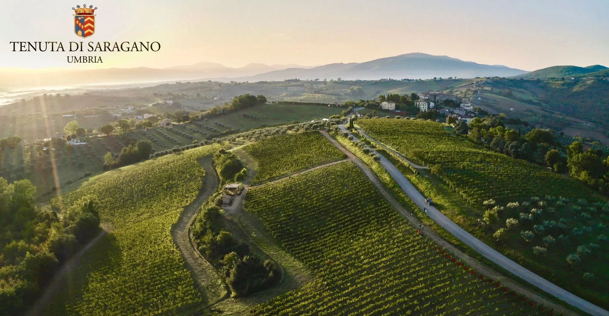 Photo by: Sarangano Winery Estate