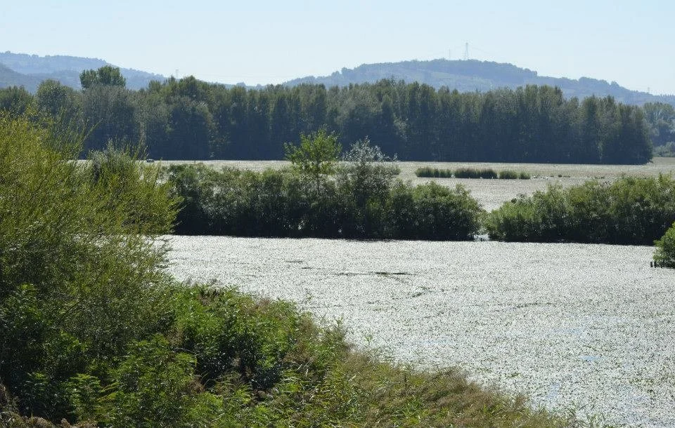 Photo by: Mariagrazia Ricci, CC BY-SA 3.0