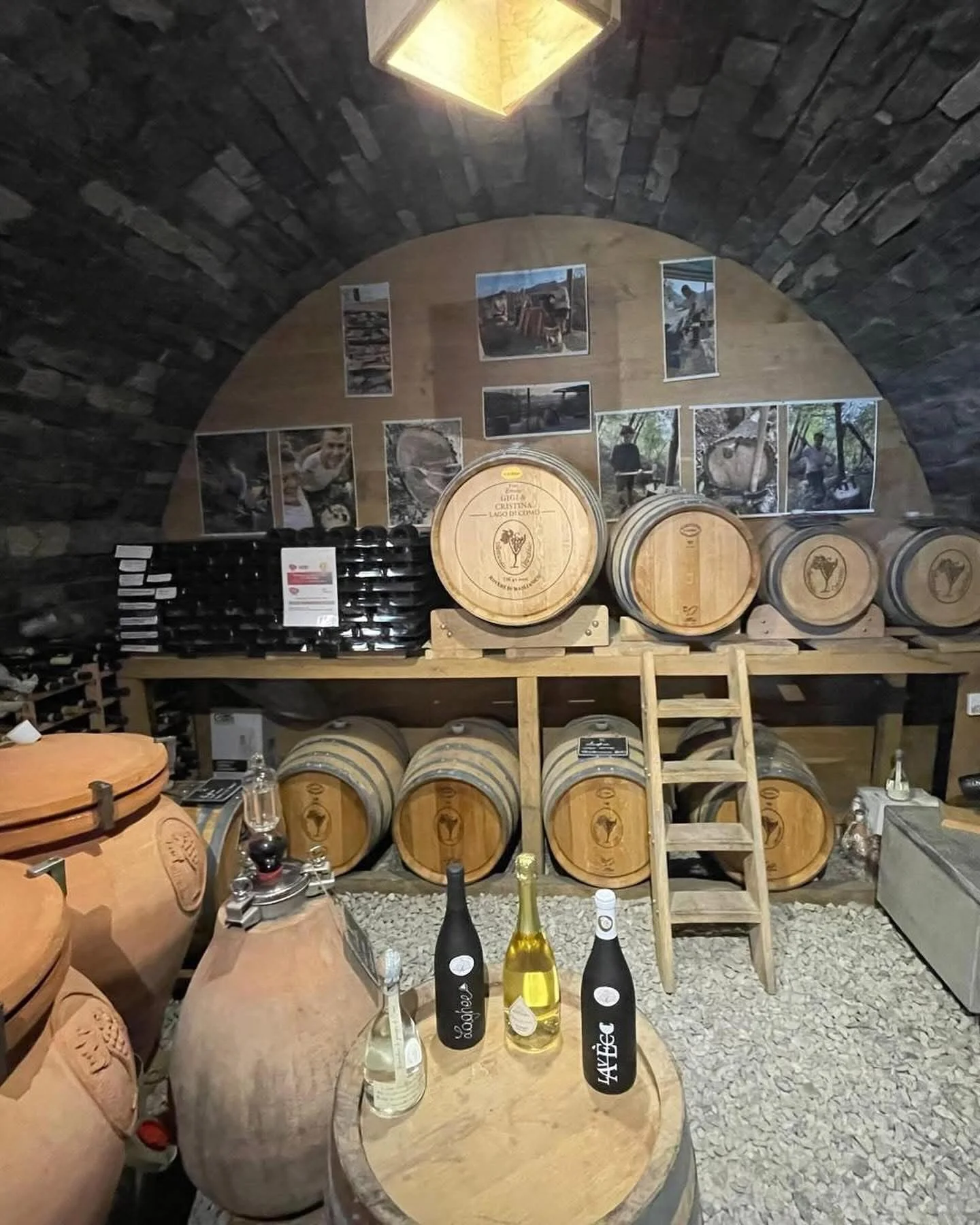 Como Lake- Vitivinicola Cernobbio