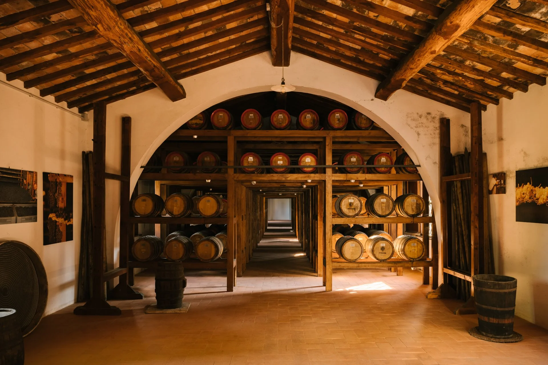 Avignonesi Cellar