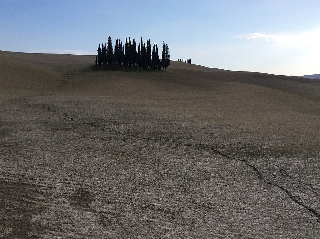 Photo by [Arsenio1678] — [• CC BY-SA 4.0]