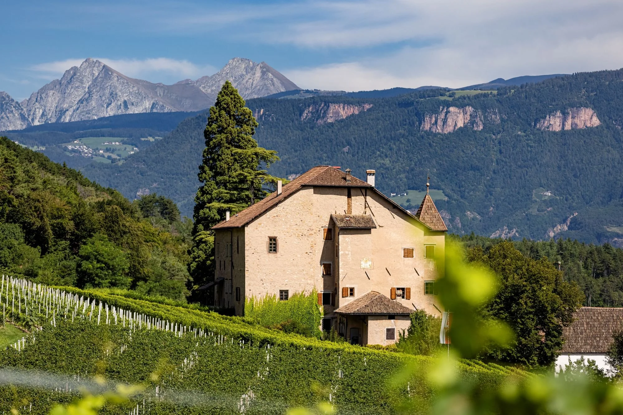 Sankt Valentin Castle vineyard