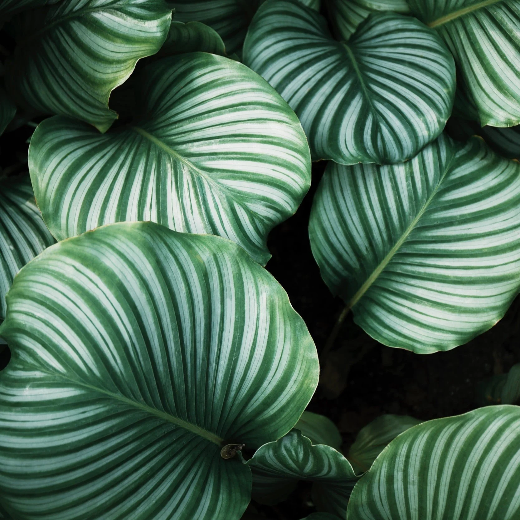 unsplash-image-bBiuSdck8tU.jpg
