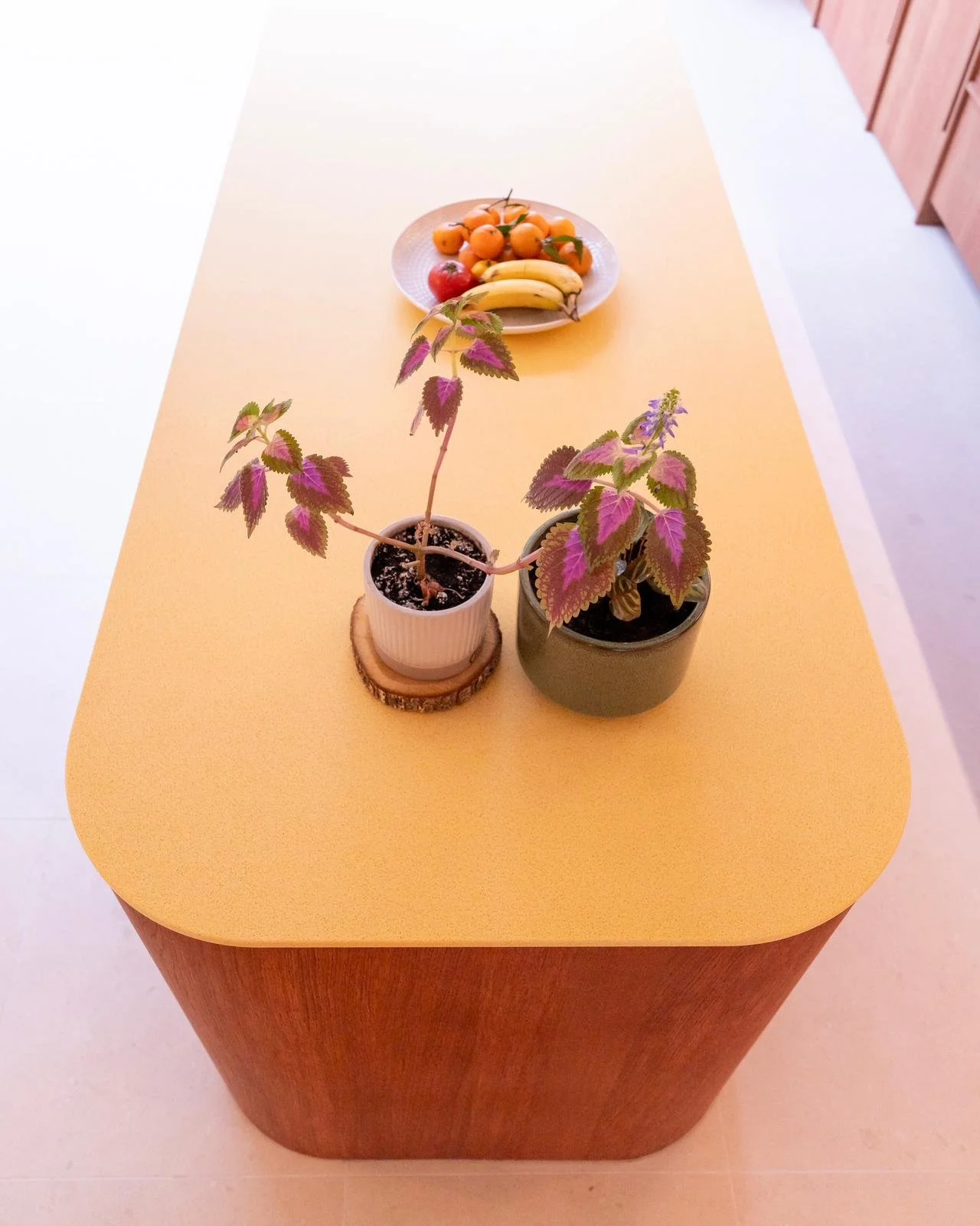 WhatsApp Image 2026-03-01 at 21.07.13.jpeg