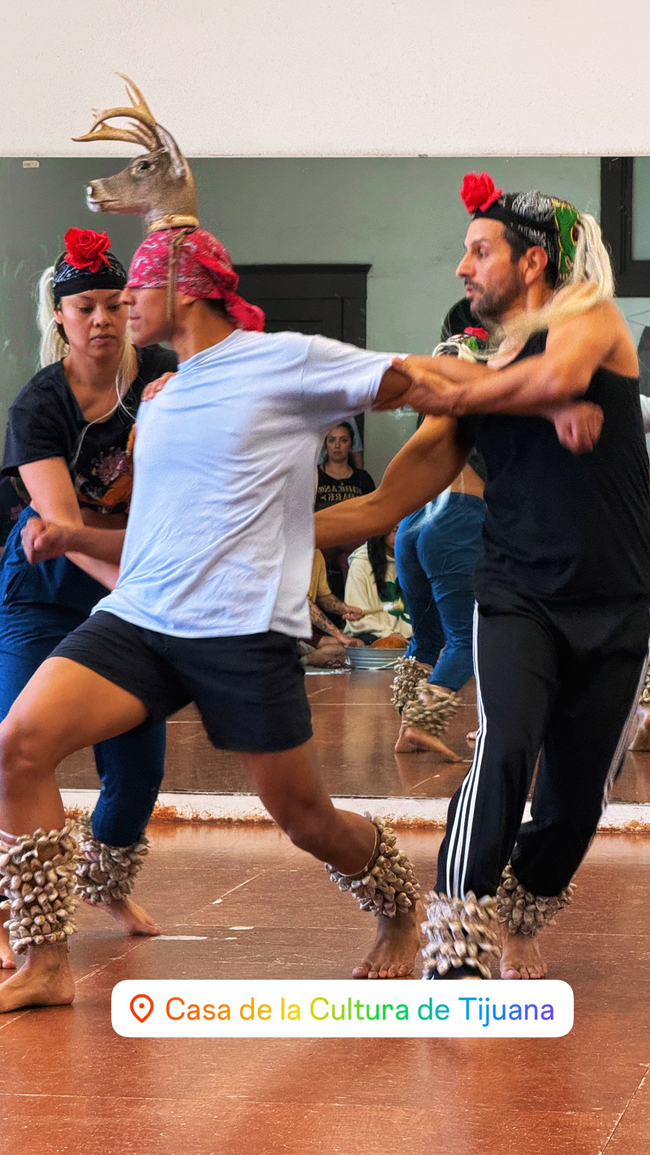 Noctiluca, Iluminar la oscuridad