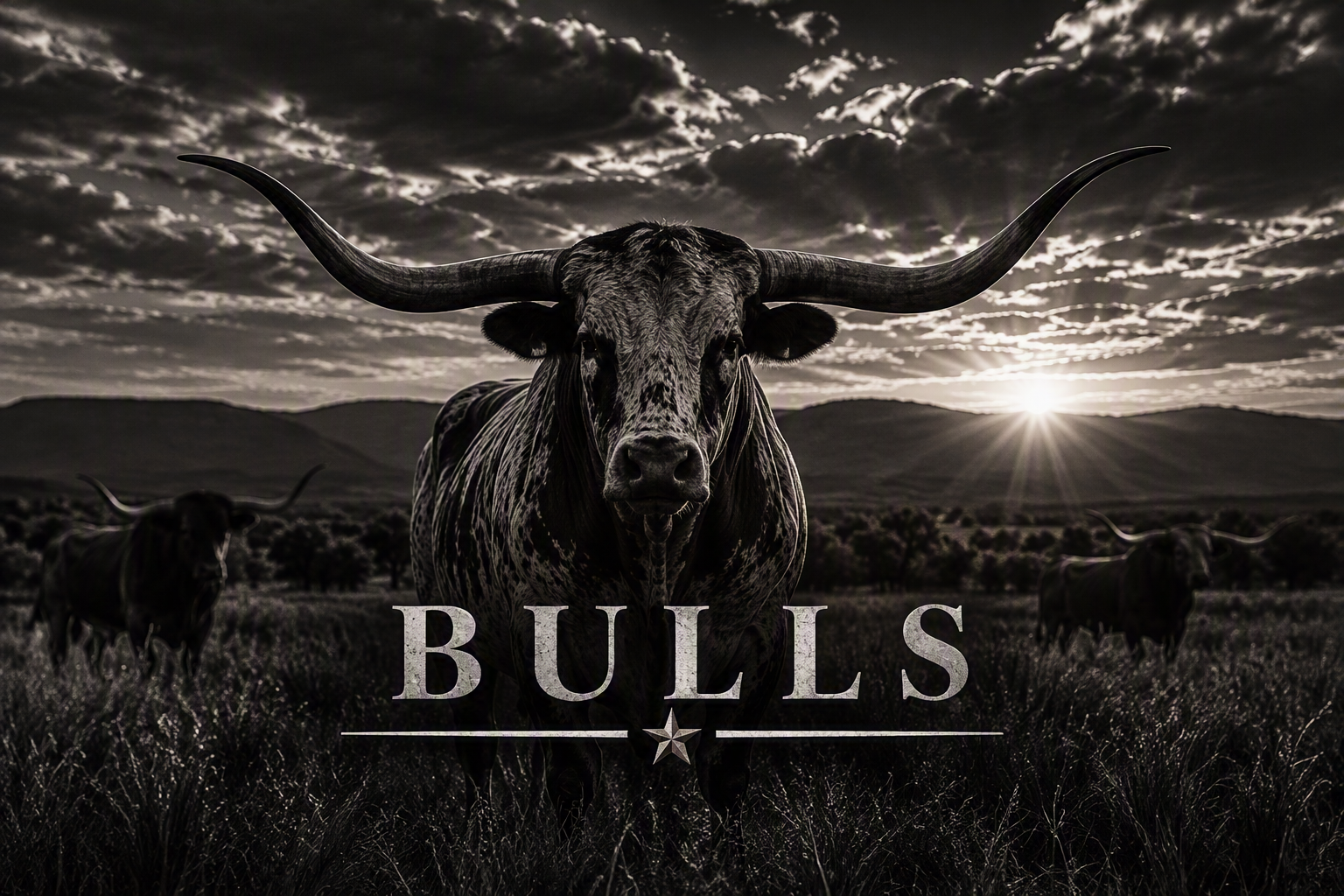 Bulls