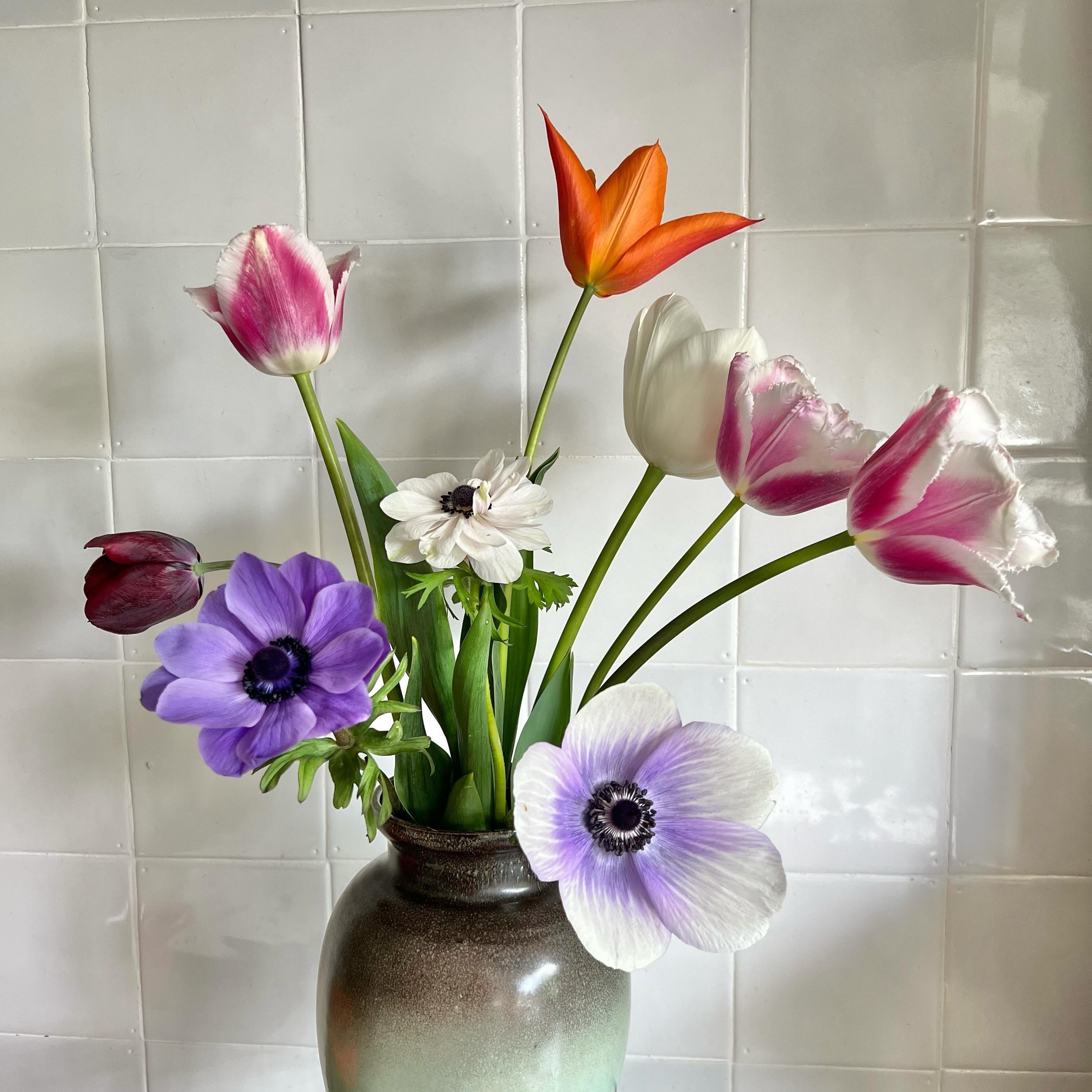 NOG MEER VOORJAAR 🌷&mdash; Na de tulpen staan nu ook de eerste anemonen in bloei. Waarschijnlijk nog niet voldoende om ze aanstaande zondag mee te nemen naar de Voorjaarsfair in het Rumpts Kerkje, maar tulpen neem ik zeker mee. En het fijne is: ze z