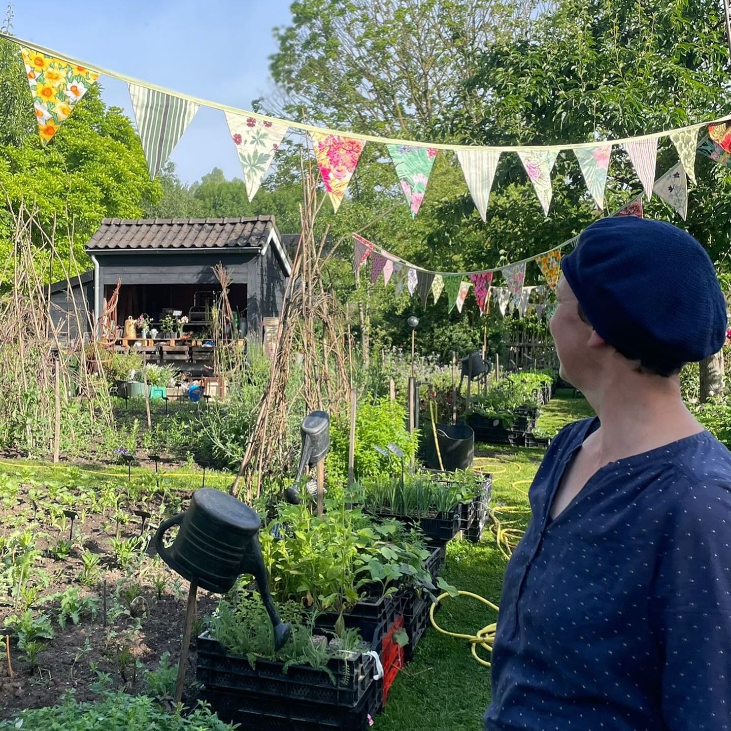 PLUKBLOEMENPLANTENMARKT - NOG T/M 7 JUNI! &mdash; Wat was het leuk afgelopen zaterdag op onze plantenmarkt in @carienspolaroids BloemenKabinet in Hurwenen! In een feestelijk aangeklede plantenlaan kozen vele tuinliefhebbers uit ons uitgebreide assort