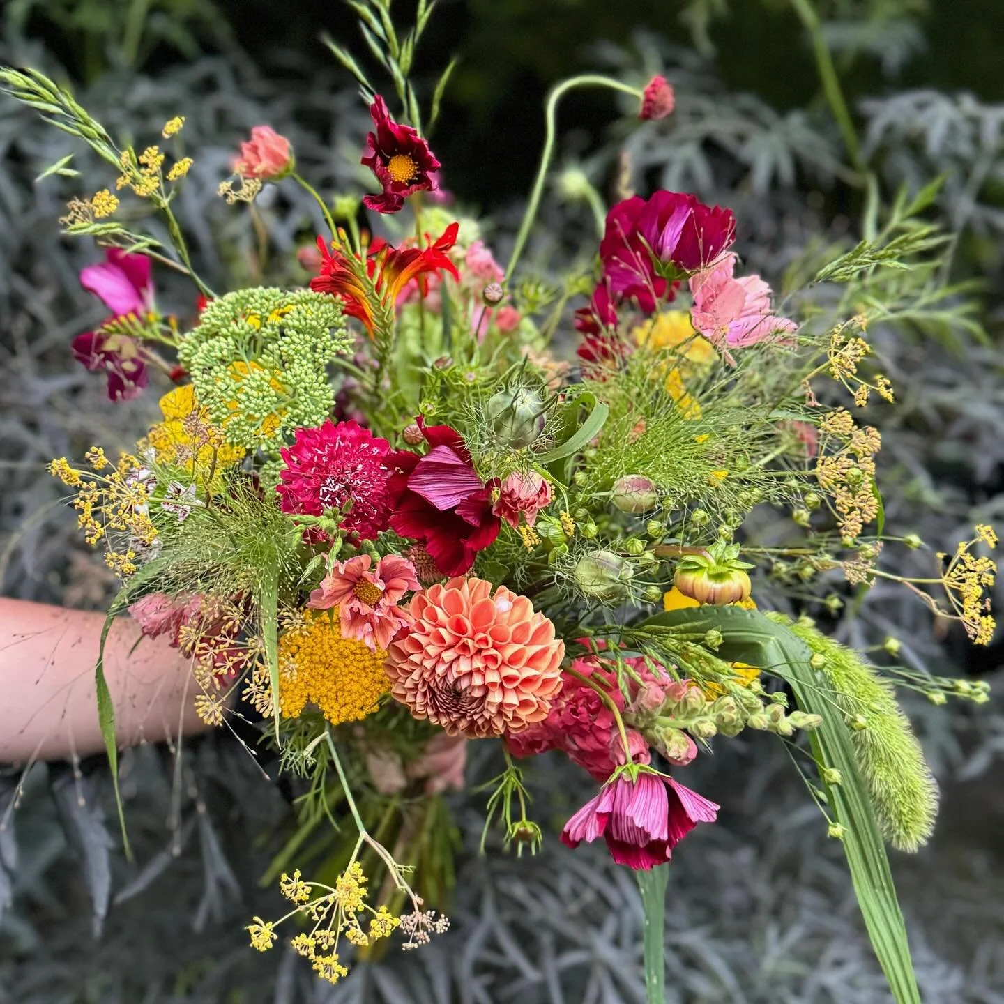 PLUK &amp; SCHIK ZOMERWORKSHOPS 💐 &mdash; Lijkt het je heerlijk om zelf je eigen boeketten samen te stellen? Deze zomer kun je bij Het BloemenKabinet terecht voor een Pluk &amp; Schik-workshop, waarbij je onder de deskundige begeleiding van @cariens