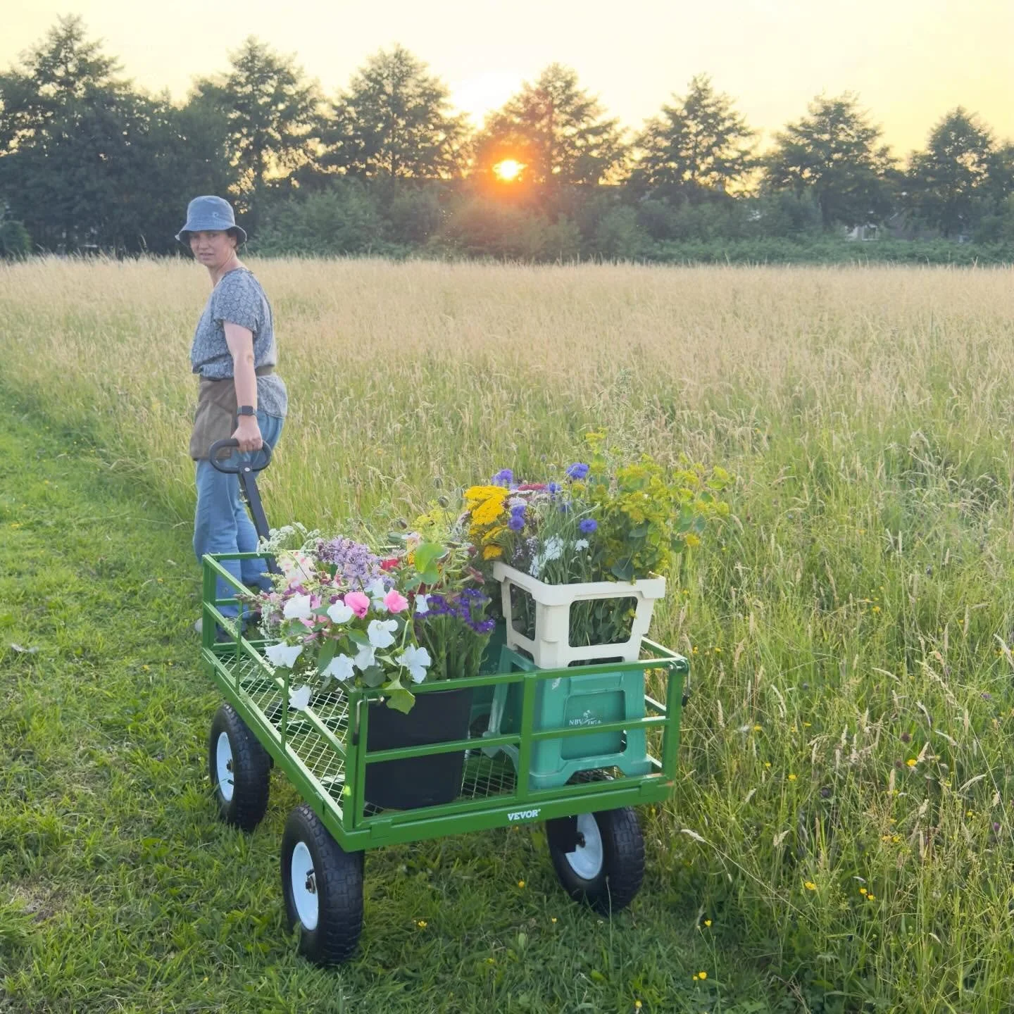 LEZING GROEI &amp; BLOEI 11 FEBR &mdash; Op woensdagavond 11 februari geef ik op verzoek van @groei_en_bloei West-Betuwe een lezing over bloemen zaaien, opkweken en oogsten met de natuur als leidraad. Sinds 2020 teel ik onder de naam ZaaiLinge &lsquo