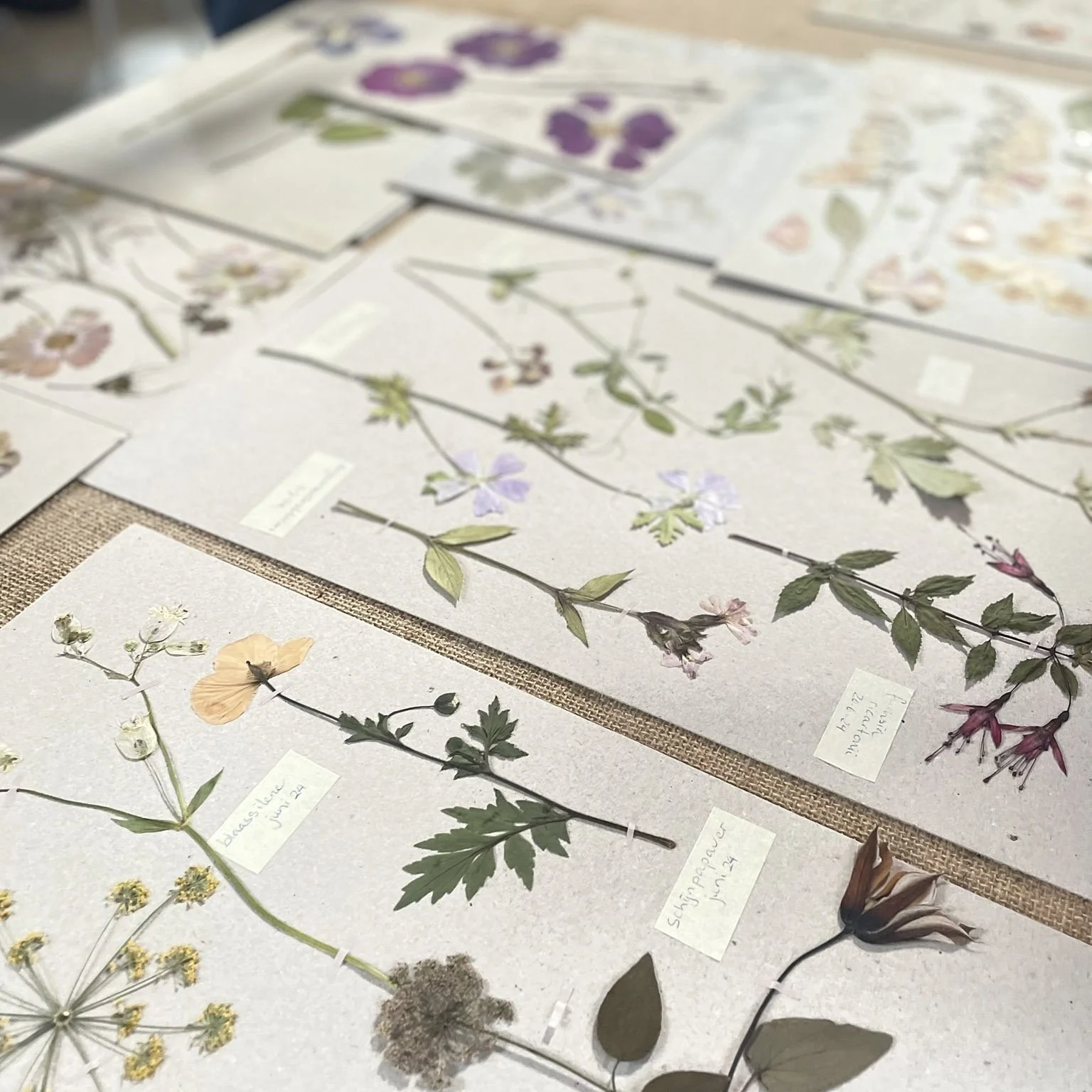 Kunst uit de bloemenpers