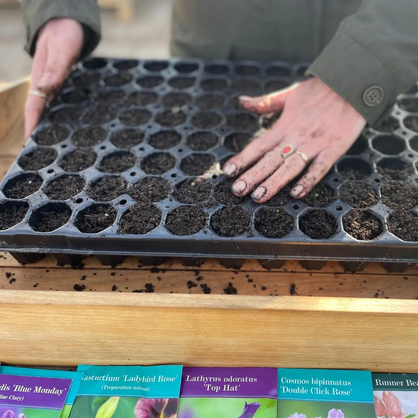 WORKSHOP ZAAIEN EN VERSPENEN ALS EEN PRO 🌱 &mdash; Wil je een zee aan bloemen in je tuin, maar weet je niet hoe te beginnen? Of heb je misschien al wel wat pogingen gewaagd, maar mag je kans op succes wel wat worden opgekrikt? We&rsquo;ve got you co