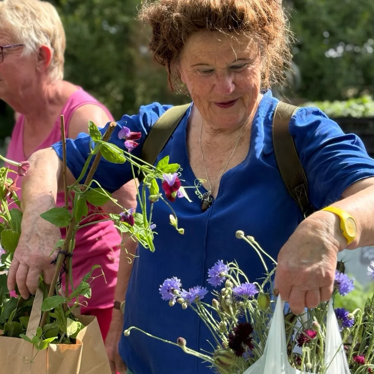 Plantenmarkt Kasteel Neerijnen 13 juni &mdash; Aanstaande zaterdag staan @carienspolaroids en ik weer met onze zelf opgekweekte pluktuinplanten, boeketten en zaden van eigen oogst op de gezellige jaarlijkse plantenmarkt bij Kasteel Neerijnen. Van 10.